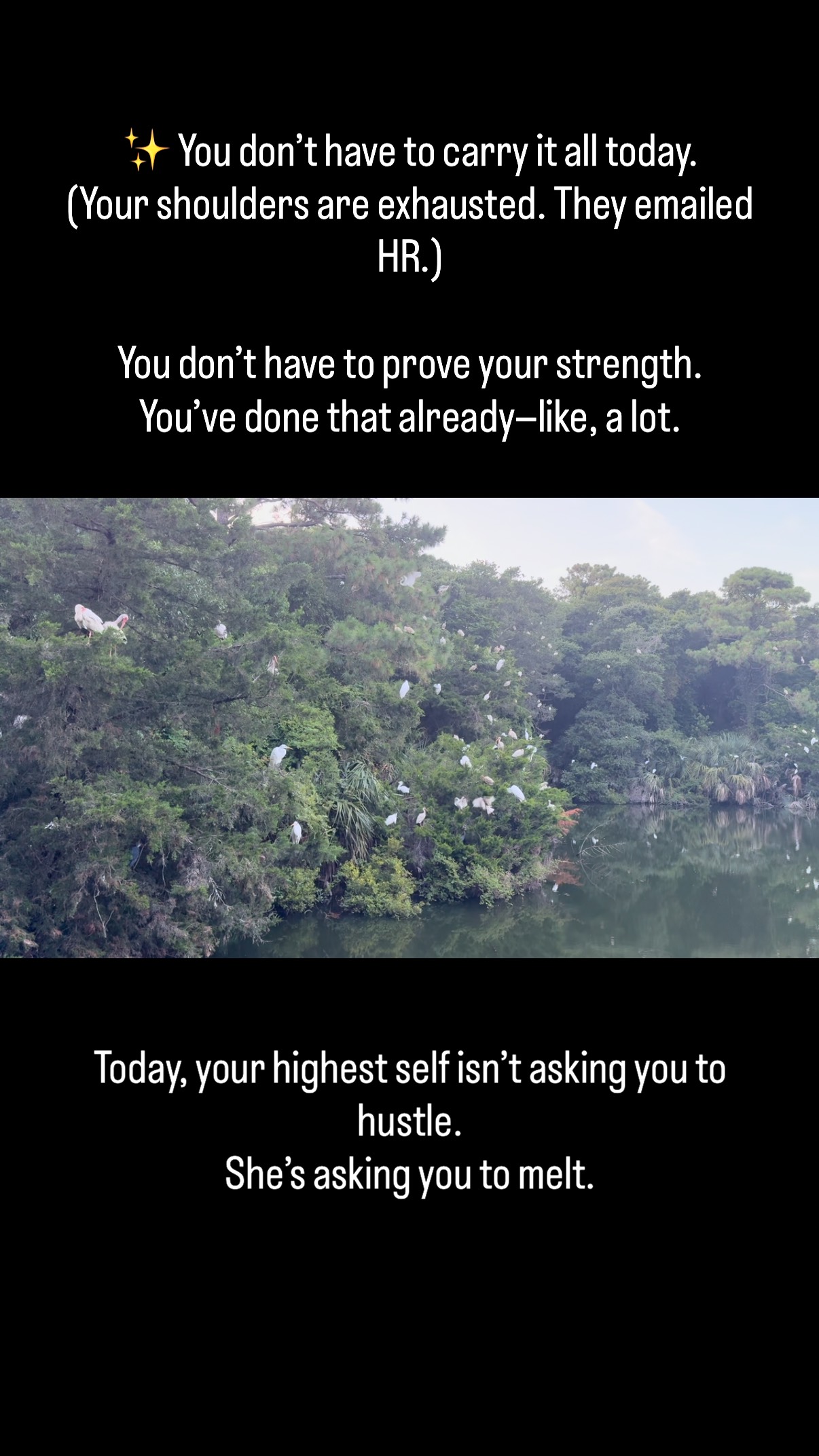 🪶 Niki Paige’s Monday Message: It’s Safe to Soften
You’ve done the hard work.
You’ve grown through fire.
You’ve shown up—for your healing, for others, for every moment that asked you to rise.
But today, your highest self isn’t asking you to be strong.
She’s asking you to soften.
Because there comes a point in personal evolution when the next breakthrough doesn’t come through striving…
but through surrender.
⸻
In positive psychology, we often talk about resilience—but true resilience includes the capacity to rest, to feel, to receive.
It’s not just about pushing through—it’s about knowing when to melt the armor.
Melt the striving.
Melt the “I’ve got this” energy.
Melt the belief that you have to hold it all together.
Softness is not weakness.
It’s nervous system safety.
It’s emotional trust.
It’s a radical act of self-permission.
⸻
🌙 Today’s Invitation: Softness as Strength
1. Soften your body.
– Take three slow, full breaths.
– Unclench your jaw. Relax your shoulders.
– Place a hand on your heart and say:
“I release the need to hold it all. I am safe to soften.”
2. Ask yourself:
“Where am I forcing… when I could be flowing?”
Let this guide even one small decision today.
3. Evening Ritual:
– Light a candle or sit with moonlight.
– Whisper:
“I am softer now. And still, I am whole.”
⸻
You are not falling apart.
You are unraveling what no longer needs to be held so tightly.
You are coming home—without the hard edges.
Let your softness speak today.
It knows the way forward.
#ItIsSafeToSoften #PositivePsychology #PersonalEvolution #NervousSystemHealing #SoftnessAsStrength #RadicalRest #TraumaInformedHealing #SelfCompassion #ClinicalWisdom #HealingJourney #CoachThoughts #RootingNotRushing #HotTeaAndHope
#IdentityCrisisButMakeItSacred #HealingWithHumor #GrowthIsMessy #SoulGPS #CoachThoughts #PositivePsychologyWithSnacks #NikiPaigeWellness #NervousSystemRegulation #MondayMessage #NikiPaigeMondayMessage #NikiPaige