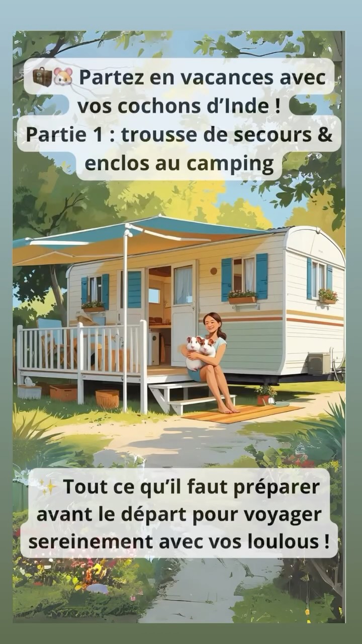 🎒 Partir en vacances avec ses cochons d’Inde – Partie 1
C’est bientôt le grand départ… et comme toujours, l’organisation est la clé pour voyager sereinement avec ses loulous 🐹💼
Dans cette première partie, je vous montre :
✅ Ce que contient notre trousse de secours (indispensable en cas de petit souci, surtout pendant la canicule ☀️)
✅ Le matériel pour leur créer un enclos sécurisé au camping (peu encombrant, pratique, confortable !)
🔍 Pensez à :
– Emporter les traitements en cours
– Prévoir des produits adaptés aux NAC (type Rongeur Digest, Vitamine C, Carbodote…)
– Repérer à l’avance les vétérinaires NAC proches de votre lieu de vacances
– Apporter le carnet de santé de vos compagnons (ou procurez-vous un joli carnet comme ceux de @les_carnets_dici 📝)
💡 Côté installation : grilles de cavy, alèses, tapis litière, bac, gamelles, sac à foin… tout est pensé pour leur bien-être et un entretien facile.
🐾 Prochaine partie ➡️ Je vous partage mes astuces pour transporter une grande quantité de foin facilement en vacances sans encombrer le coffre !
📲 Abonnez-vous pour ne rien manquer des autres parties, et dites-moi en commentaire si vous aussi vous partez avec vos animaux cet été ! 🌞
Prenez soin de vos animaux avec Quartier Des Nacs
#vacancesavecanimaux #cochondinde #organisationvacances #naclover #campingnac #quartierdesnacs #troussedesecoursnac #voyageavecnac #lapin #furet #rat #astucesnac #petlovers #cavylife #animauxdecompagnie