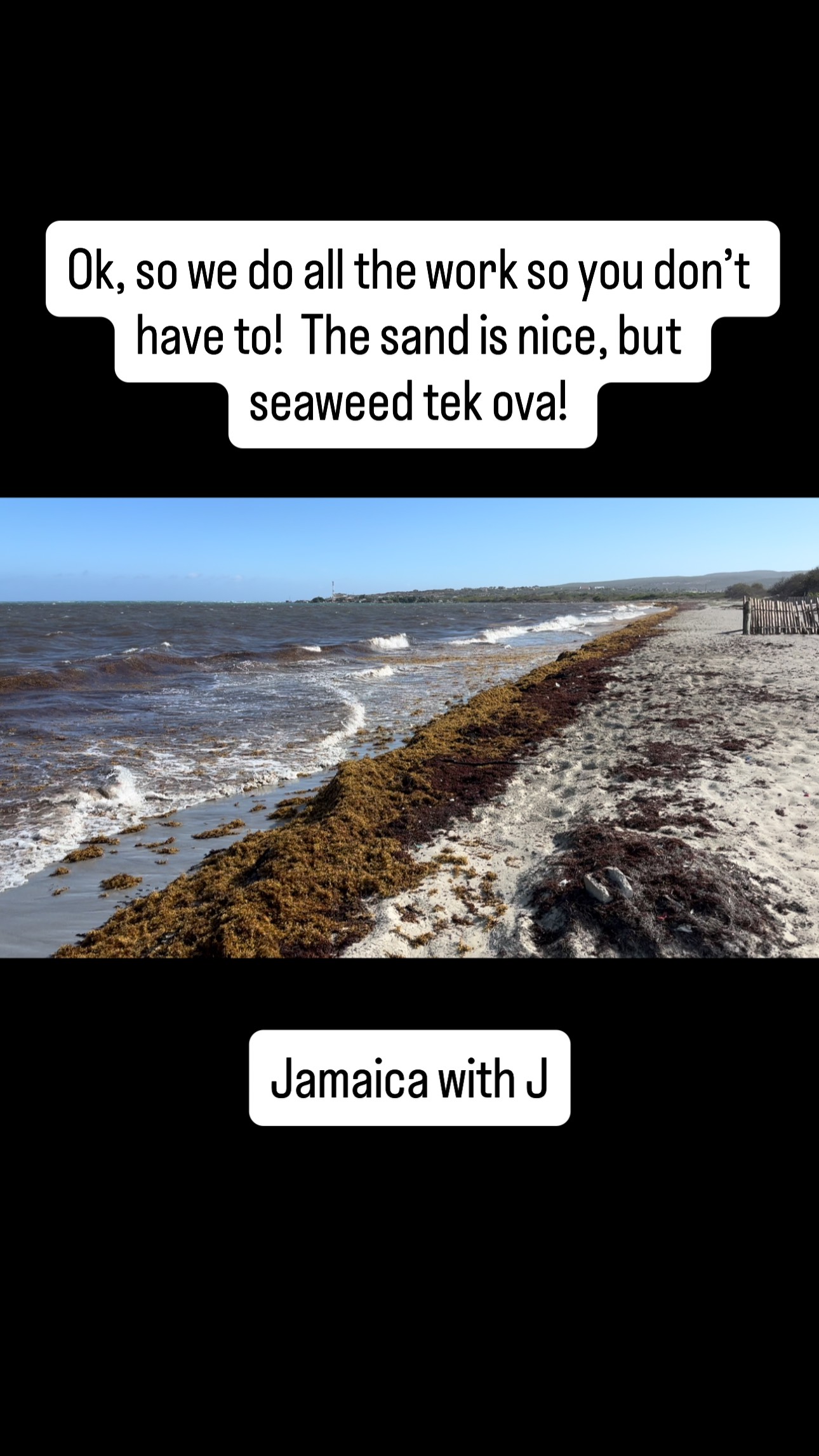 Out scouting beaches for the perfect Jamaica With J experience… but this one didn’t make the cut. 🌊 Too much seaweed and not the vibe we want for you! On to the next spot… stay tuned.”