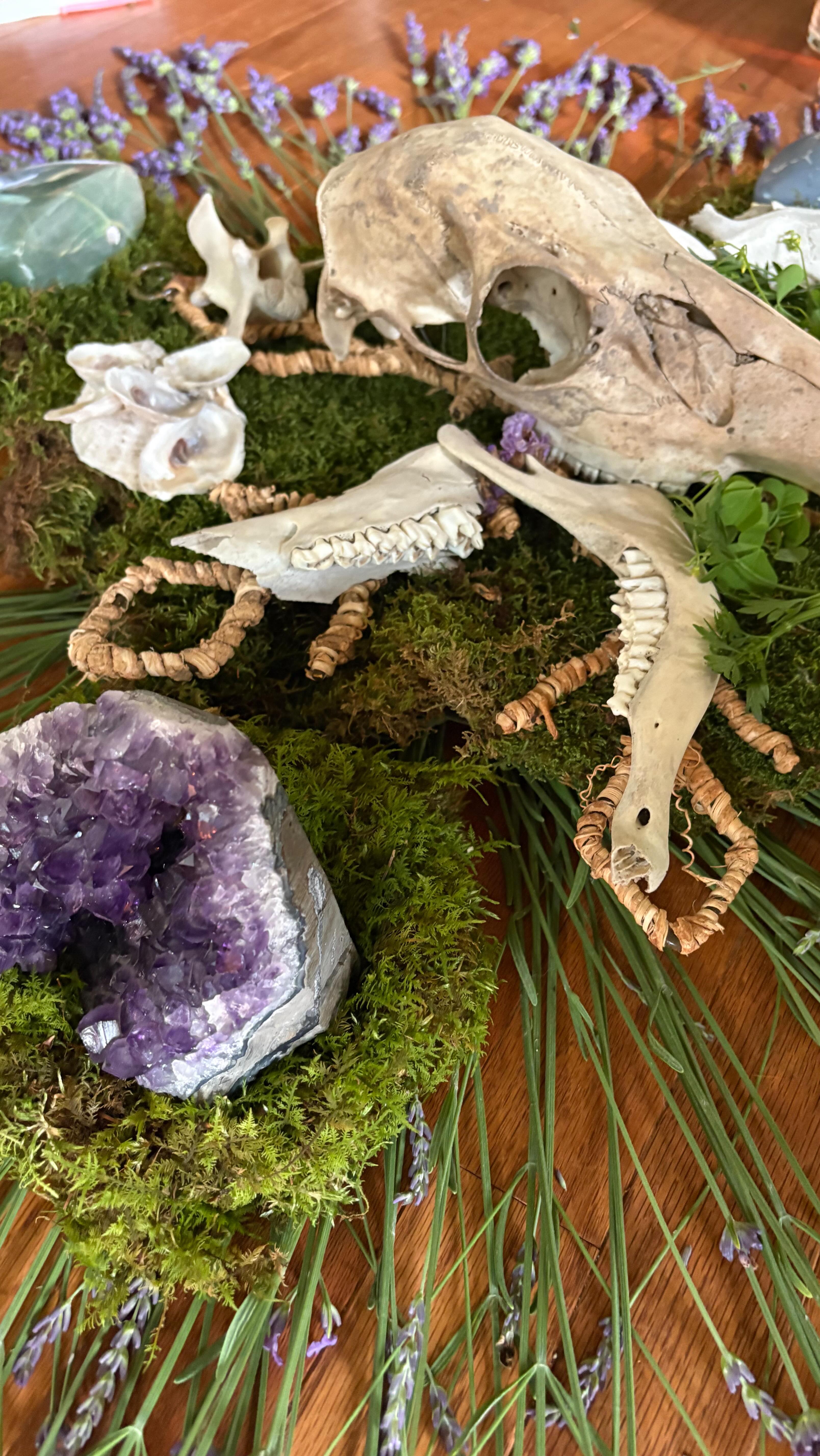 Last Full Moon - Wombyn Circle was as magical as ever! 🌕
Special thank you to @highlandspringsfloral for having us in her magical space again!
We have our New Moon Wombyn Circle this Tuesday and look out for details on our next Full Moon circle! ✨🦋
———
RSVP TO THE NEXT CIRCLE - LINKS IN BIO!