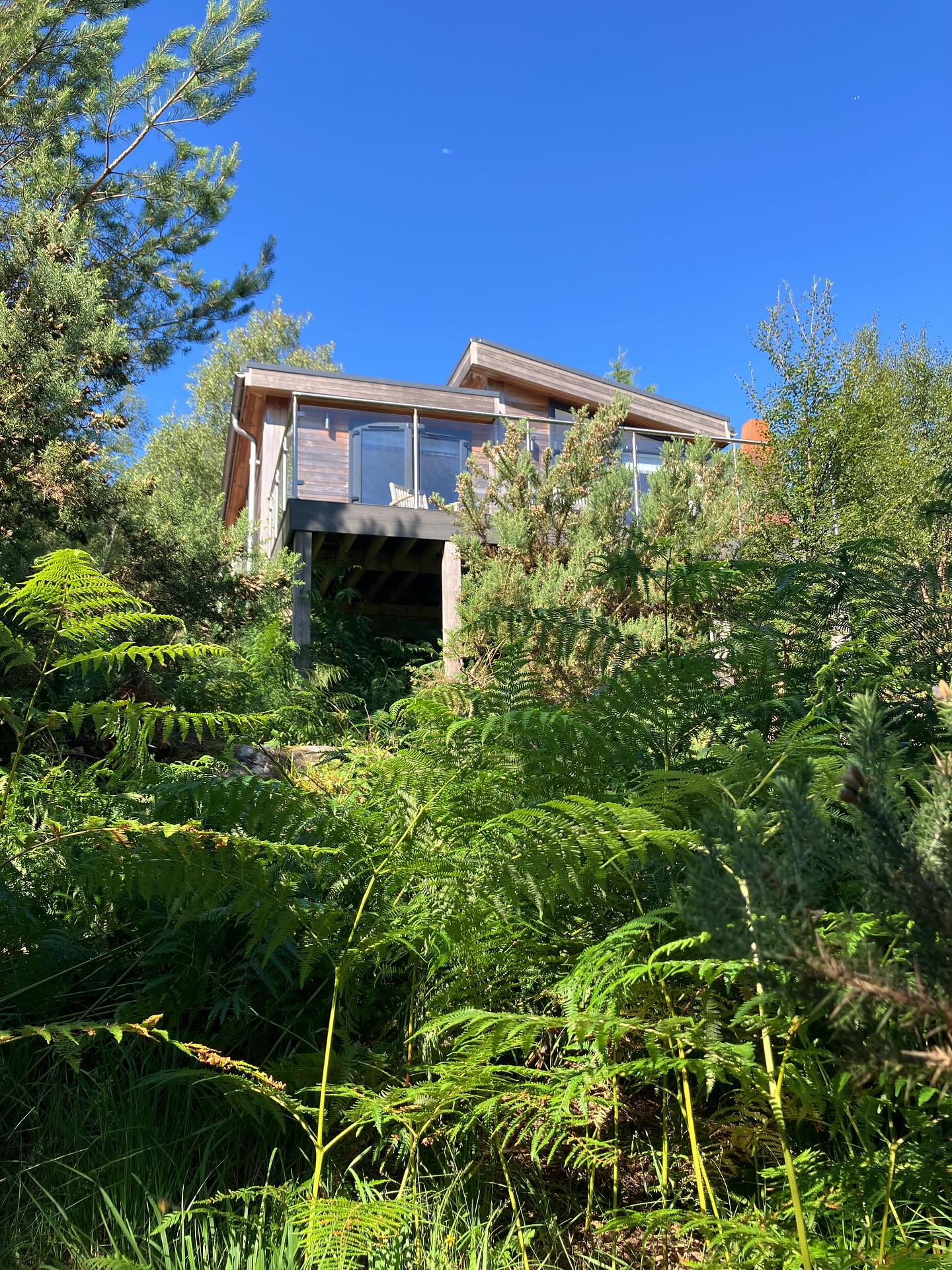 Wow! Thank you Turadh for the magical, deep rest. What an incredible generosity to share this place with people working for the common good in Scotland #thisisturadh #turadh #commongood #rest #read #renewal #nature #forest #outdoortherapy #playtherapy #scotland #thankyou