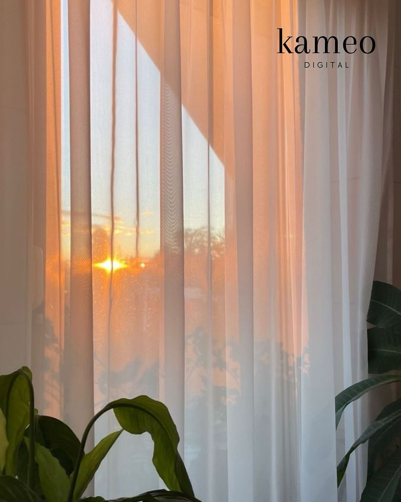 A new day, a new digital era. Something exciting is on the horizon… 🌅
#comingsoon #kameodigital