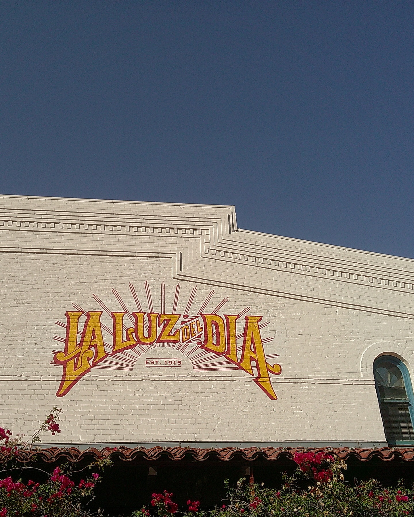 Summer of love and culture ❤️ ☀️@afrolatino_culture_fest
Shot on @campsnapcamera 📷
#summerfestival #afrolatinx #afrolatino #afrolatinas #photolover #photographer #queerpeopleofcolor #photographyeveryday #culturephotography #brazil #puertorico #mexico #latincommunity