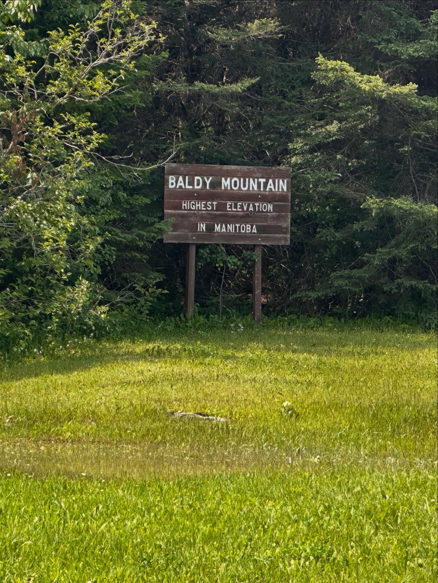 📍Baldy Mountain-Duck Mountain Provincial Park
🥾3km—highest elevation in Manitoba 2700ft above sea level
Though AllTrails said this trail was well maintained, it definitely wasn’t. There were parts you couldn’t even tell were trails it was so grown in with large trees down. The horse flies were INTENSE—I immediately worried how the kids would cope with this (wearing crocs none the less) but I was pleasantly surprised they had the best time. There was tons of frogs which kept Jack entertained the full hike. It was cool to see the ranger cabins still standing and you’re able to go inside them. It was interesting to read all the history on Baldy Mountain.
The views at the top were unreal, seeing Riding Mountain from afar was so stunning. The view truly takes your breath away!
Highly recommend this trail—it was fun to get some vert in Manitoba.
#baldymountain #duckmountainprovincialpark #exploremb #ilovetrees