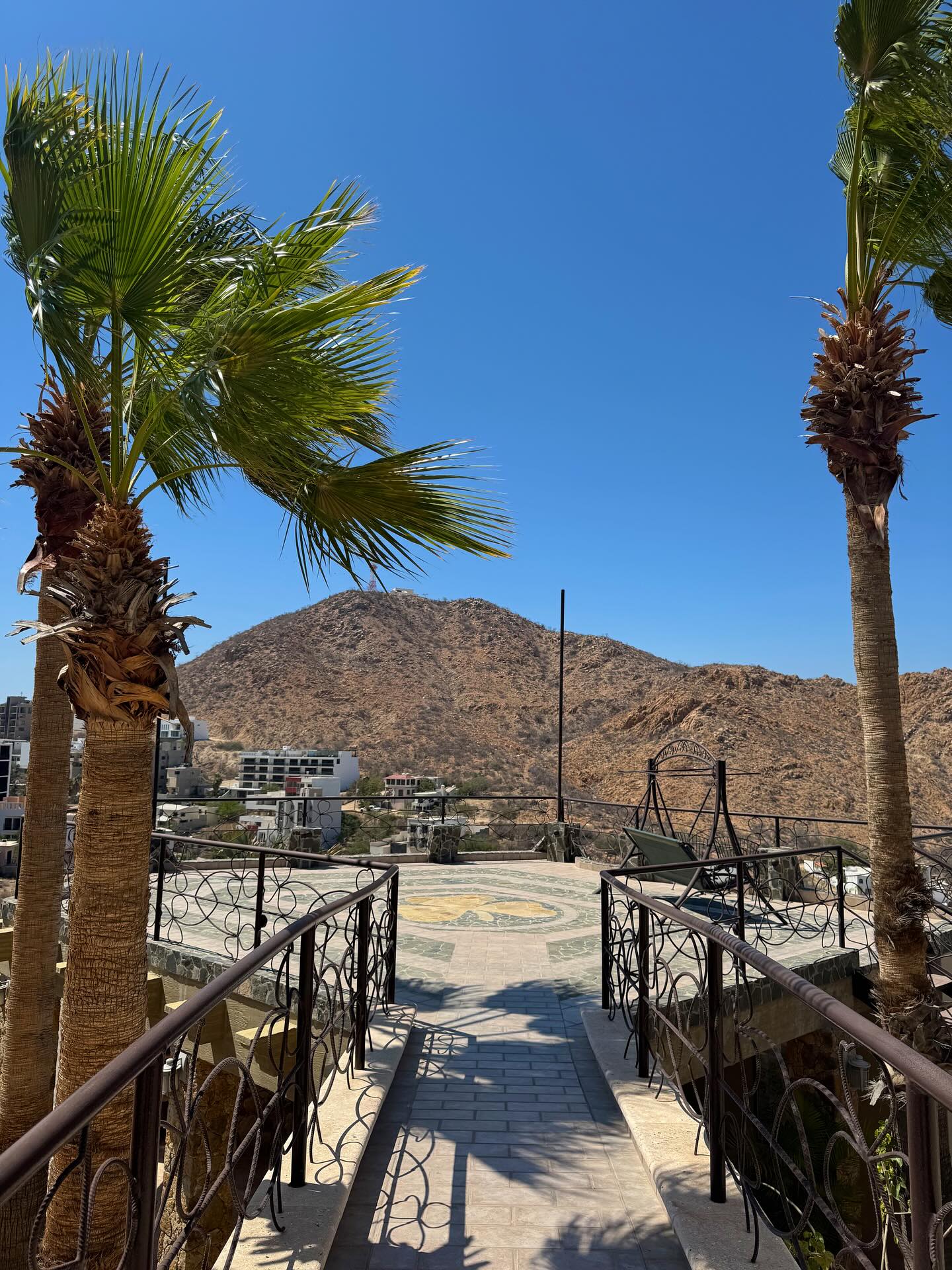Palm trees & Celtic vibes – welcome to your Irish oasis in Cabo🌴🍀 located just a few minutes from downtown!
Rates starting at just $1,800 pesos per night during August. Contact us for more information 🙌
#boutiquehotelcabo #cabosanlucas #summer2025