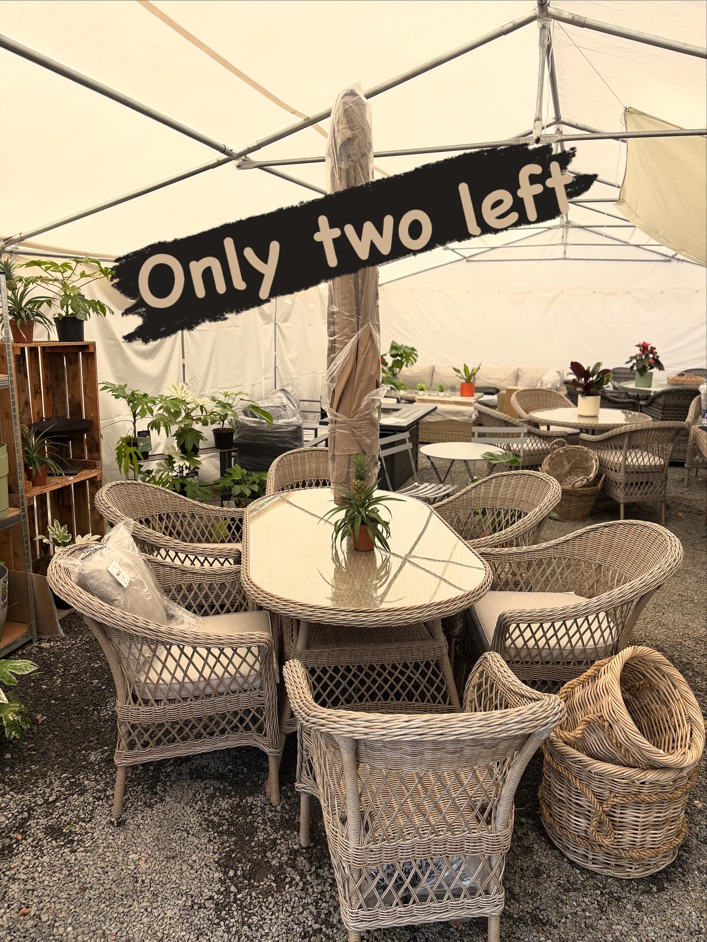 We still have 2 of these Wicker 6 seater sets @£1600 including seat and back cushions and parasol 😊🥂