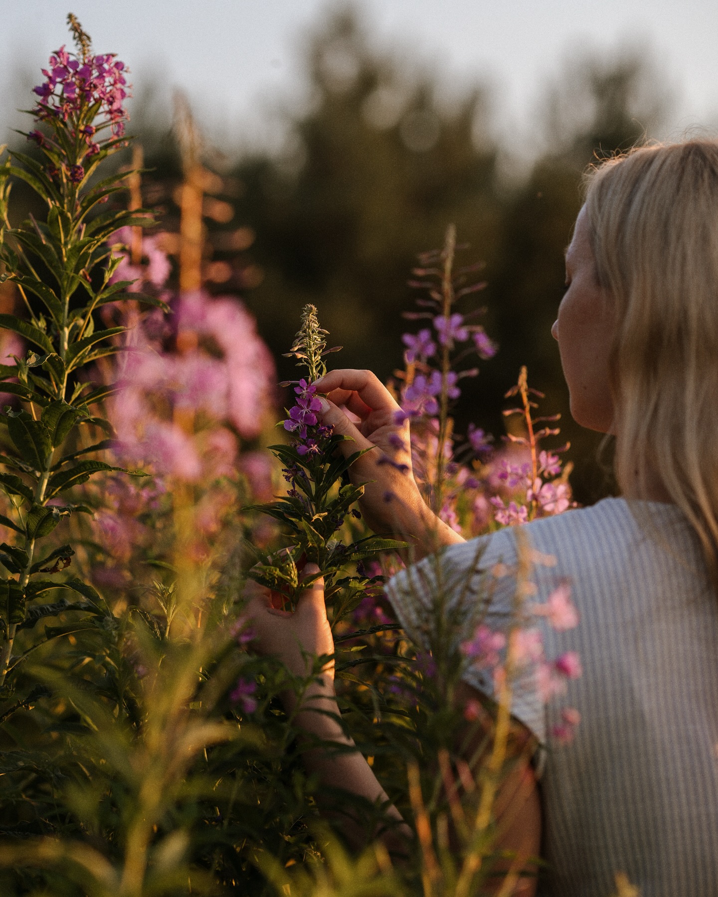 A creative block in the summer… I think this might be the first time it’s ever happened! I usually find the summertime endlessly inspiring, but everything feels different this year. I’ve struggled to pick up the camera, so the past few weeks have been (for the most part) reserved for the ones closest to me.
Anyway, here’s yesterday’s attempt at starting again.
I hope July’s been good to you 🌞