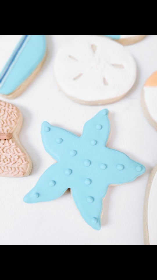 Summer is for beaches and checking out sea life