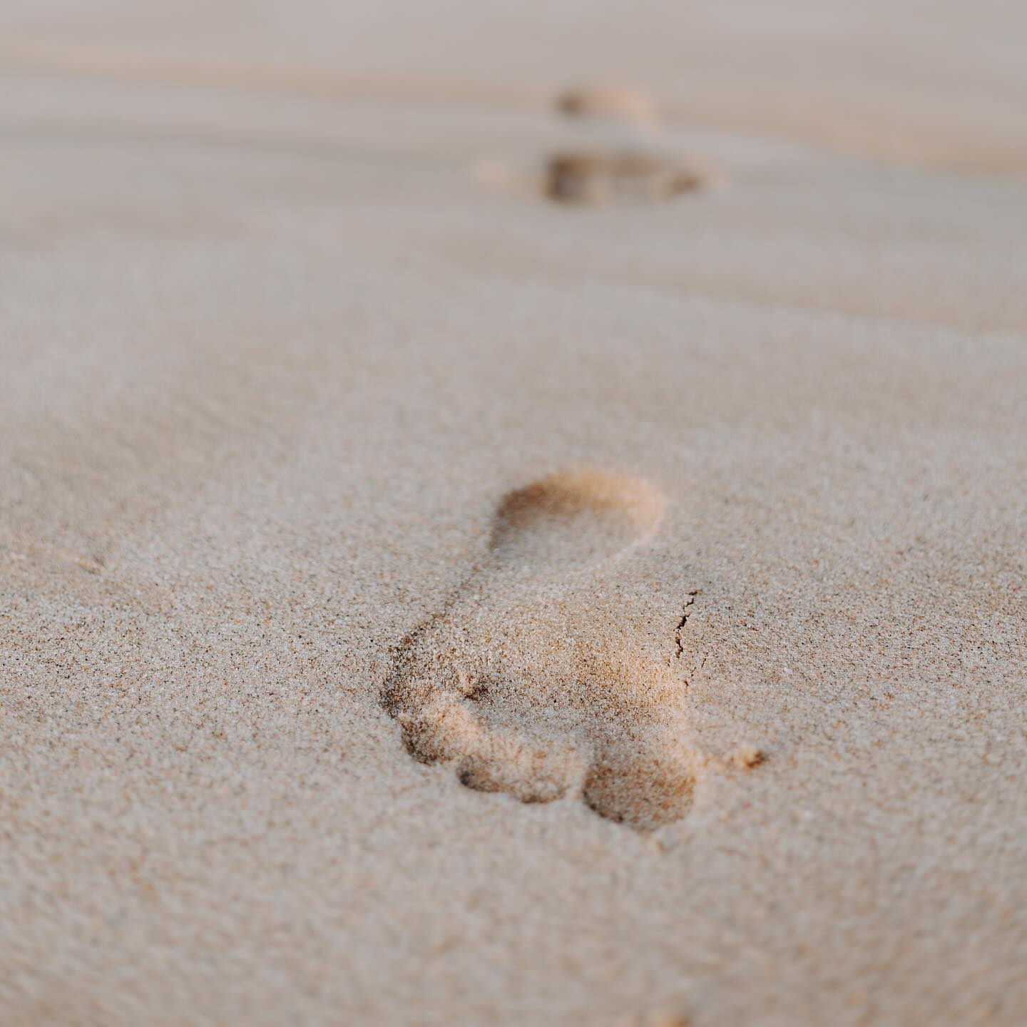 „Und am Ende des Tages sollen deine Füße dreckig, deine Haare zerzaust und deine Augen leuchtend sein“ …
#live #love #feel #enjoy #portugal #beach #ocean #photography #photographer #shot #happydays