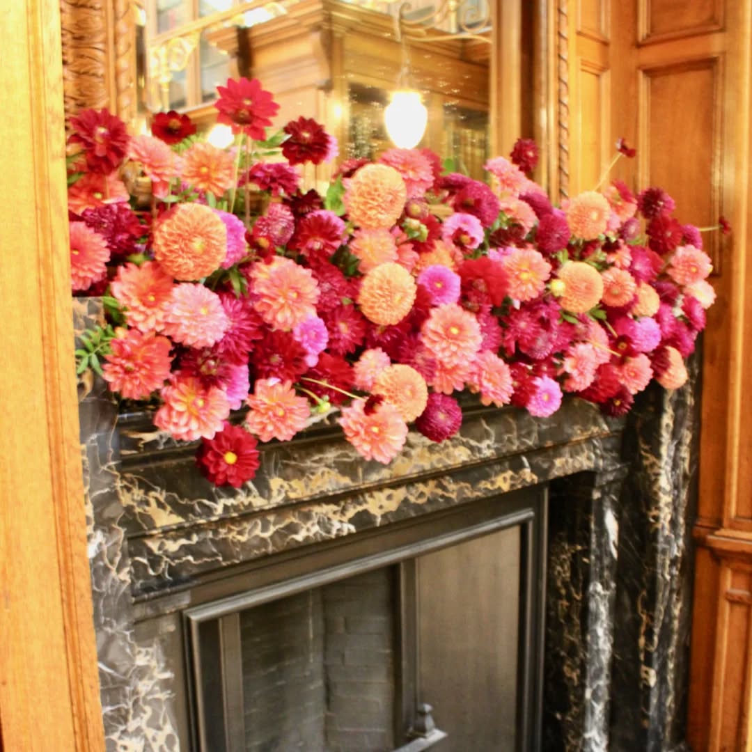 Dahlia mantle @rcpevenue #dahilas #weddingfloristedinburgh #weddingflowersedinburgh #mantleflowers #rcpe #thestockbridgeflowercompany #dahilamantle #scottishsummerwedding