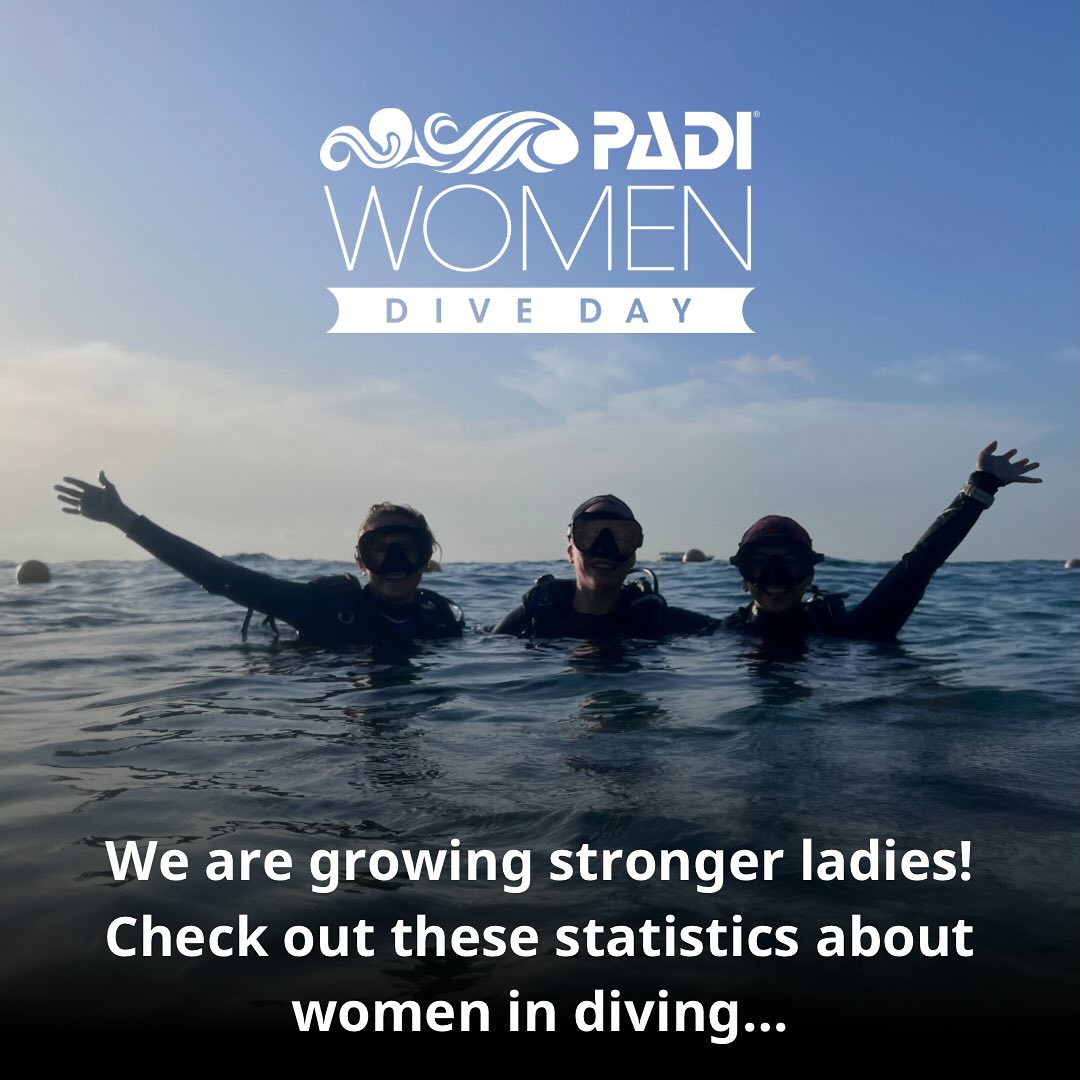 ✨ PADI WOMEN DIVE DAY ✨
We celebrated the 11th @paditv women dive day yesterday and had a blast! We are so lucky to be working with and learning from the amazing and strong women in this industry and trying to encourage more female participation in diving. Passionate, loving and caring with a big heart for the ocean, this is what we strive to bring everyday. Happy to see this also attracts a lot of female students and certified divers.
YAY FOR THE LADIES 💃