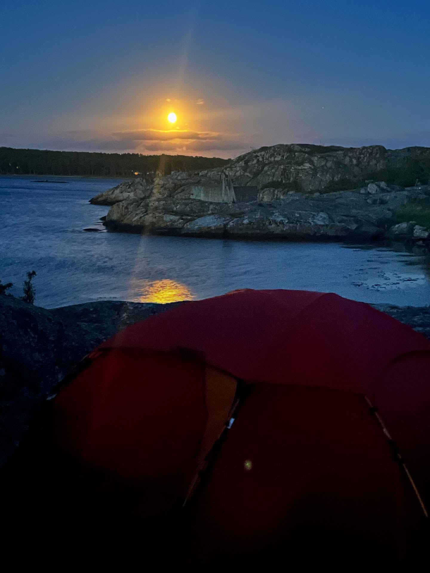 Fortfarande högsommarvärme i Grebbestad! ☀️☀️Sunshine & summer in Sweden means kayaking! Häng med på vattnet framöver! Join us on the water! •24/7 Roll kurs/ Rolling class 3 platser/ 3 spots
• 24/7 Fikaturen / Swedish coffee & cake tour: Platser kvar/ spots available
25-27/7 Guidad 3 dagars kajaktur med mat & utrustning. 3 day guided expedition with food and equipment 3 platser kvar/ 3 spots
• 28/7 Rough Water Junkie! Kan bli episk enligt väderprognosen! Might be an epic day if you look at the weather forecast!
Platser kvar/ spots available
28/7 Fikaturen halvdagstur/ Swedish coffee & cake tour 4 platser kvar/ 4 spots available
30/7 Skärgårdsturen - heldag med lunch i skärgården med guide.
The archipelago tour. Full day with lunch and guide.
Platser kvar/ spots available
31/7 Gult paddelpass nybörjarkurs! Yellow paddel pass beginner full day
2 platser kvar! 2 spots
Self guided trips with pick upp available several times a week. Our rental service is open every day. Uthyrningen är öppen varje dag!
Sista minuten bokningar- maila oss på mail@nautopp.com