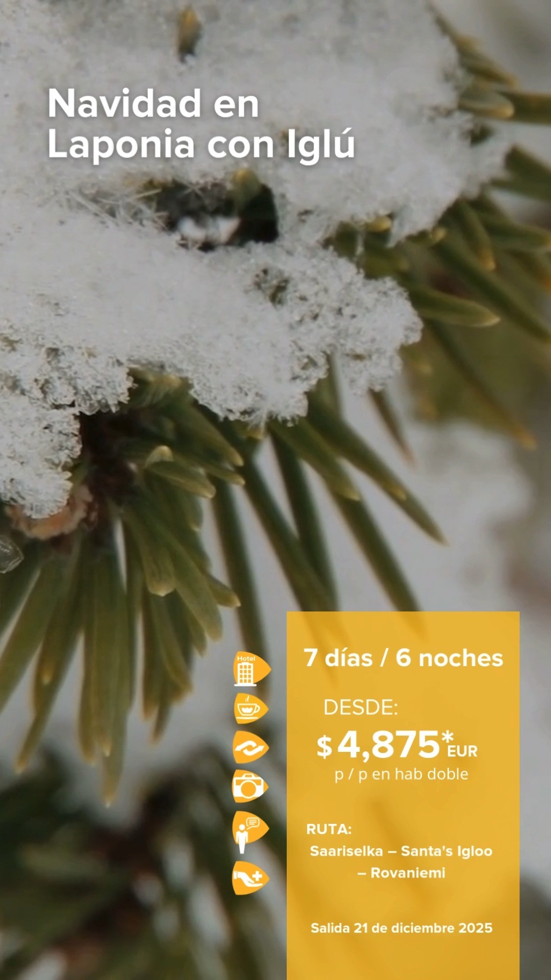 ❄️ *INVIERNO DE ENSUEÑO* ❄️
Prepárate para vivir una temporada mágica en los
destinos más espectaculares del mundo.
🌍✨ 🇨🇦 Canadá · 🇺🇸 Estados Unidos · 🇲🇽 México ·
🇮🇸 Islandia · 🇫🇮 Finlandia · 🇩🇪 Alemania · 🇨🇭 Suiza ·
🇨🇿 República Checa · 🇦🇹 Austria · 🇭🇺 Hungría
🗓️ Vigencia: del 15 al 31 de julio 2025 💬
#viajacontravelx #Viajes2025 #ViajarEsVivir #ViajesEnFamilia #ViajaConEstilo #ViajaConNosotros