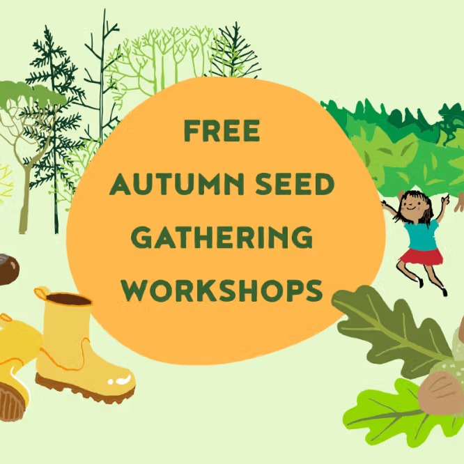 Your class/educational group is invited to get involved in FREE Seed gathering workshops this Autumn from 10 Sept to 10 Oct.
These workshops are part of Leeds City Council’s Woodland Creation Scheme, which aims to grow and plant 5.8 million trees over 25 years, to help combat our Climate Emergency.
If you would like your class to take part please email countrysiderangers@leeds.gov.uk with your preferred date and site/s, the number of classes you’d like to be involved and which year group they are from.
Please also visit here to find our more: https://www.leedsforlearning.co.uk/Article/175158