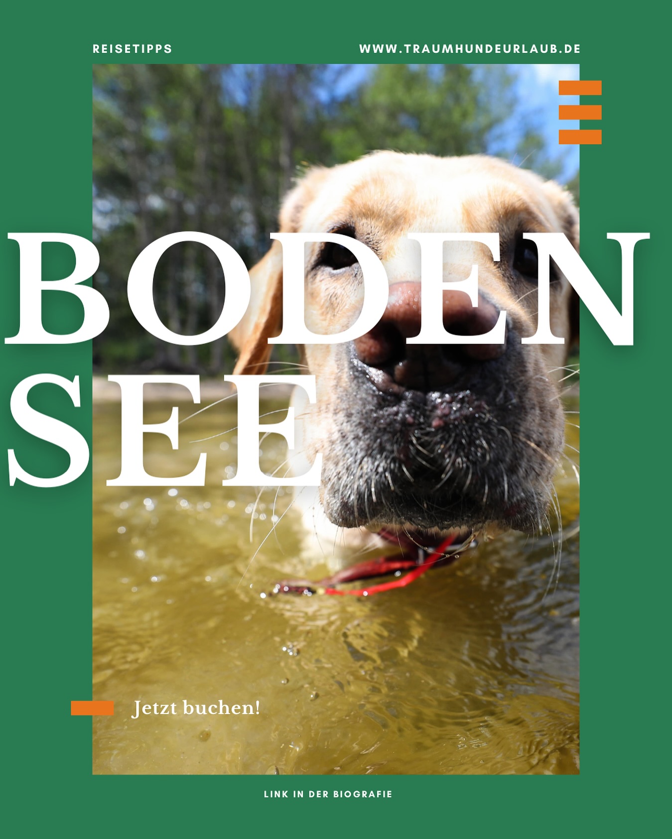 Urlaubsspaß für dich und deine Fellnase – direkt am wunderschönen Bodensee! 🐾🌊
Gemeinsam durchs Wasser planschen, auf grünen Wiesen toben und abends den Sonnenuntergang genießen. ☀️🐶
Hier wird jeder Spaziergang zum kleinen Abenteuer – für Mensch und Hund. 🥾🐕
Entdecke jede Menge hundefreundliche Unterkünfte, Cafés und Wanderwege rund um den See!
Euer nächstes Hundeabenteuer wartet schon – mitten in der Natur! 🌿
📍 Bodensee – wo Urlaub mit Hund einfach perfekt ist - einfach Traumhundeurlaub!
Jetzt buchen: www.traumhundeurlaub.de
#traumhundeurlaub #traumhundeurlaub.de
#UrlaubMitHund #BodenseeMitHund #HundefreundlichReisen #ReisenMitHund #Hundeurlaub #BodenseeLiebe #WandernMitHund #FellnasenOnTour #DogTravel #Hundeglück