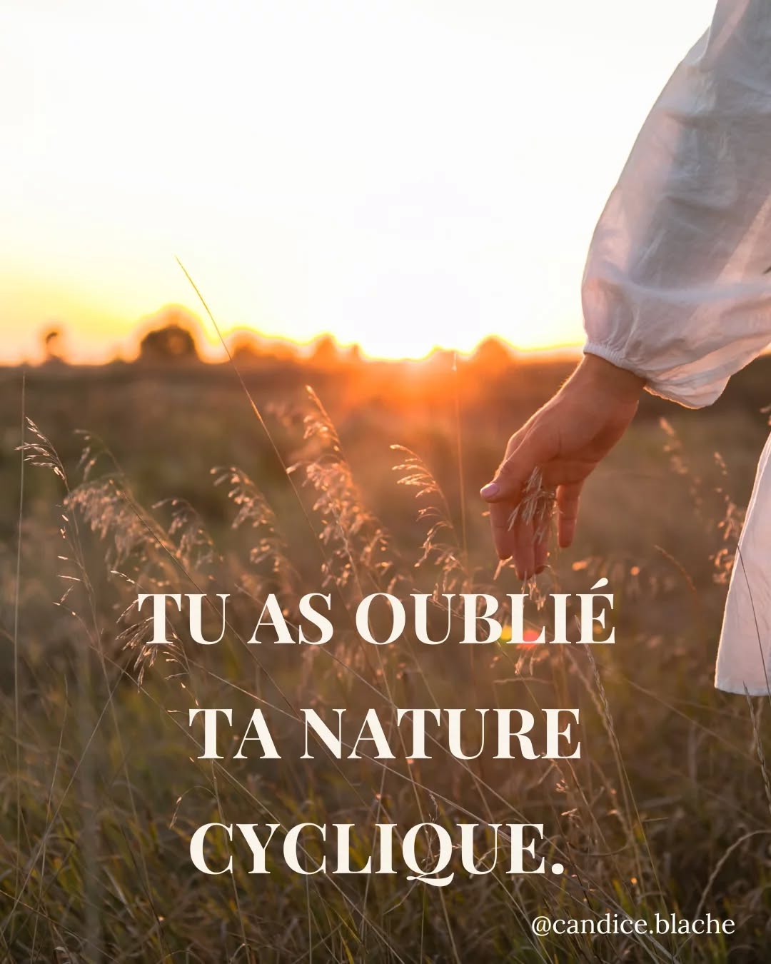 ⬇️⬇️⬇️⬇️ + D'INFOS
..
🔥 Tu brûles de reconnecter à ta puissance ?
🔥 Tu veux retrouver une relation apaisée à ton corps ?
🔥 Tu veux poser des limites, sortir de la culpabilité, te libérer de certains schémas ?
🔥 Tu veux mieux comprendre ton corps de femme ?
..
👉 J'ai la chance de participer à la formation de @clemence.balley pour laquelle j'ai réalisé un module entier autour de la cyclicité avec les outils de la naturopathie, la nutrition mais aussi des archétypes féminins, de rituels de conscience...
..
🤩 Découvre la formation ouverte en pré-vente des aujourd'hui avec 20% de réduction 🎉
(lien en story)
..
Je suis Candice, Naturopathe et Doula.
Je t'aide à retrouver la pleine santé 🌿
Pour rappel : prise de rdv possible (voir bio) pour t'accompagner sur ce chemin 💪
..
#cyclemenstruel #cyclefeminin #santenaturelle #femmesauvage #troubleducycle #lunes #regles #endometriose #sopk #hypothyroidie #formation #naturopathie #sante #doula #douladesfamilles