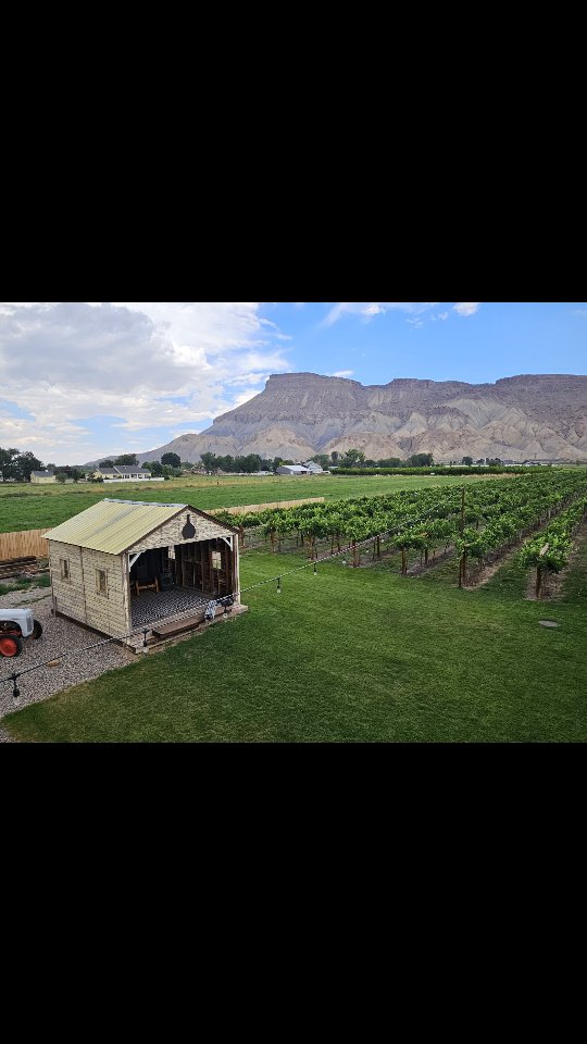Good friends, good wine, good times!
#gvgrapesandgrains #palisadecolorado #coloradowinecountry #coloradowine #winetasting #drinkcoloradowine