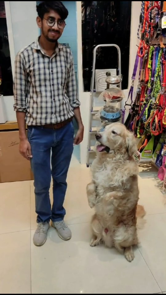 Exciting to meet groomer