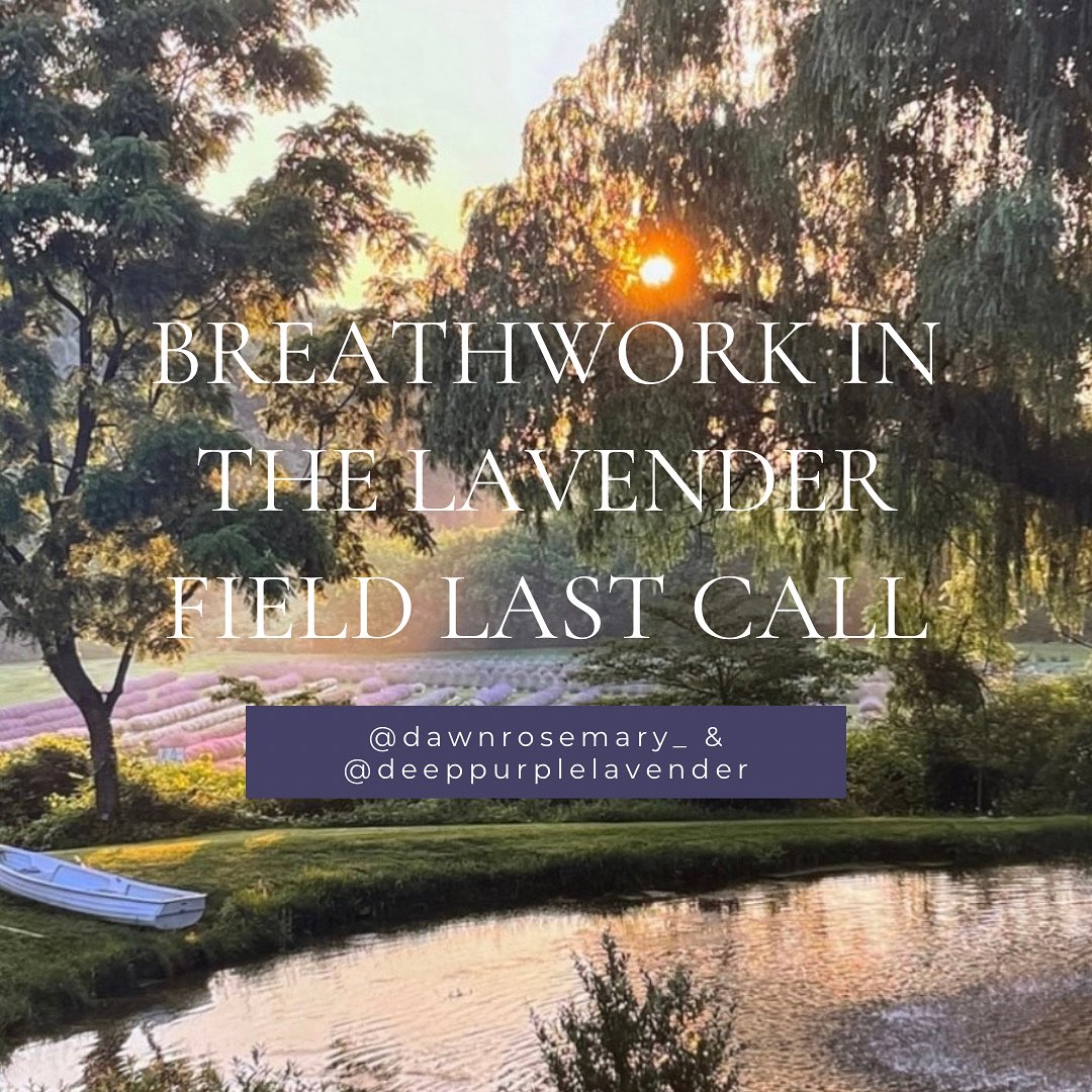 ✨ Add a little more magic into your summer ✨
💜 Breathwork at Deep Purple Lavender Farm 💜
We are breathing, nourishing & expanding together this Thursday night at @deeppurplelavender
Join us for a magical night immersed in the sent of lavender, sounds of nature and power of your breath. Your soul will thank you!
Expect a deep transformative Breathwork Journey, gentle movement, connection and of course treats! Every magical gathering needs treats.
Thursday July 24, 7-9pm just outside of Embro.
There are few spaces remaining, this is the last call to save yours! Message us 💜✨