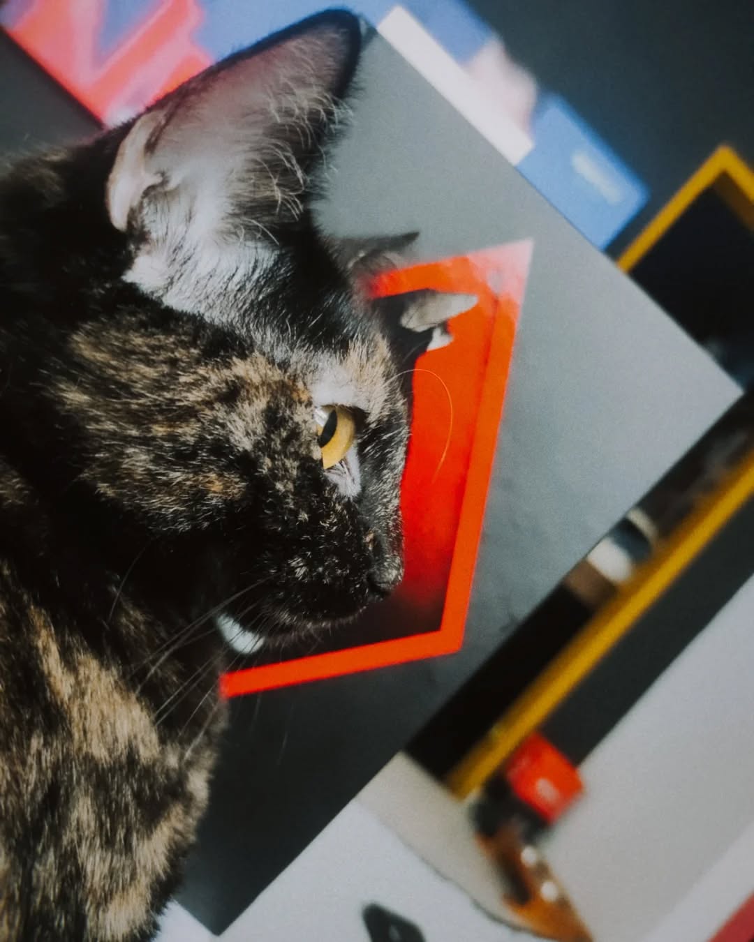 A capa do livro foi atualizada ❤️✨️