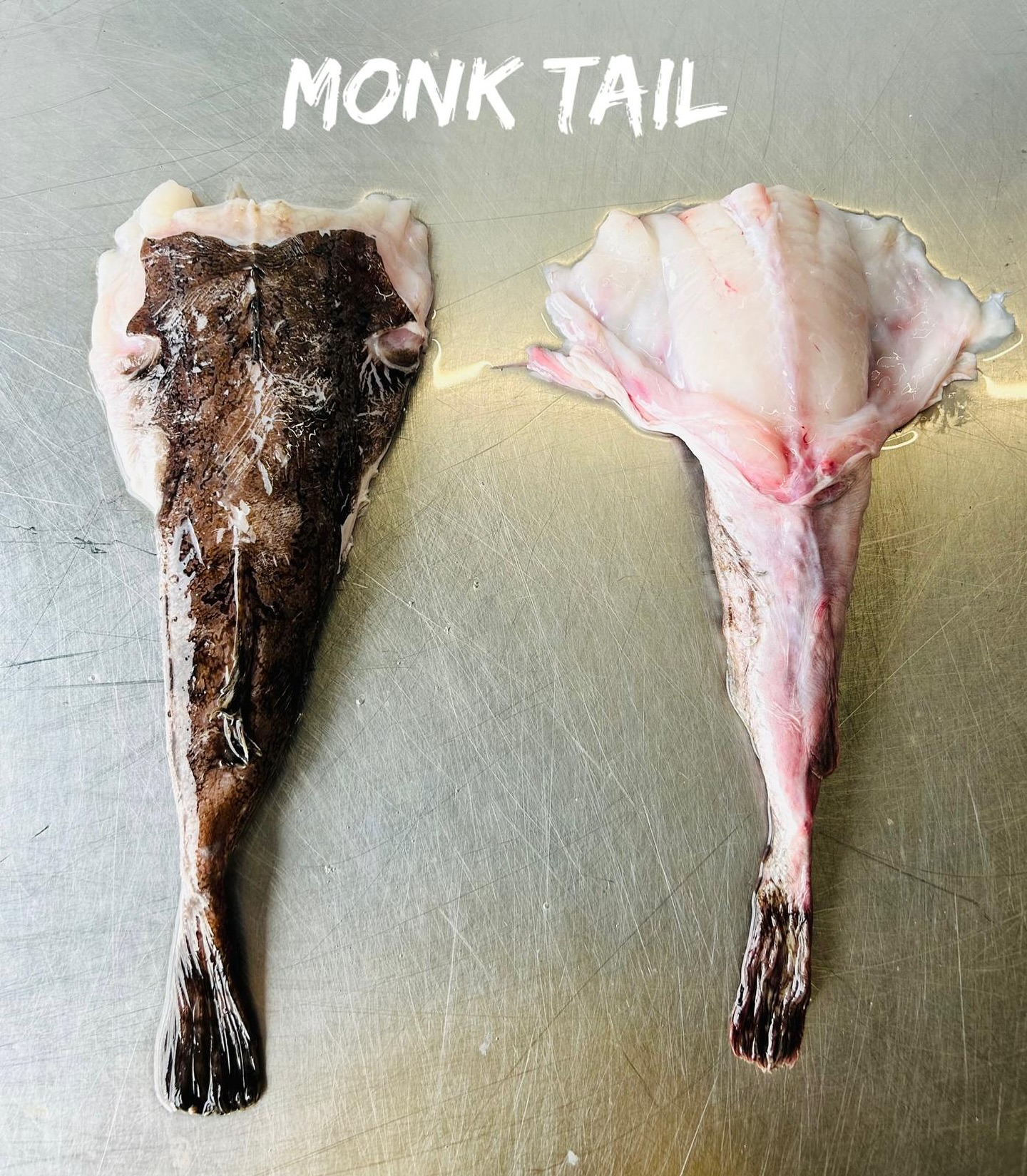 Chefs - Monkfish is now in prime season throughout July, and we’ve got the freshest catch ready for your menus.
Known for its superb versatility and firm, succulent flesh, monkfish is a favourite amongst chefs for a reason. Whether you’re planning a sophisticated pan-roasted dish or a robust stew, sometimes called the “poor man’s lobster” Monkfish is guaranteed to elevate your culinary creations.
At My Fish Company, we pride ourselves on supplying the finest, responsibly sourced seafood directly to your kitchen door. Get in touch with us today to place your order and ensure your diners experience the best of the season!
#Monkfish #ChefSupply #RestaurantSupply #WholesaleSeafood #FreshFish #MyFishCompany #SustainableSourcing #JulySpecials #ProfessionalKitchen #InSeasonNow