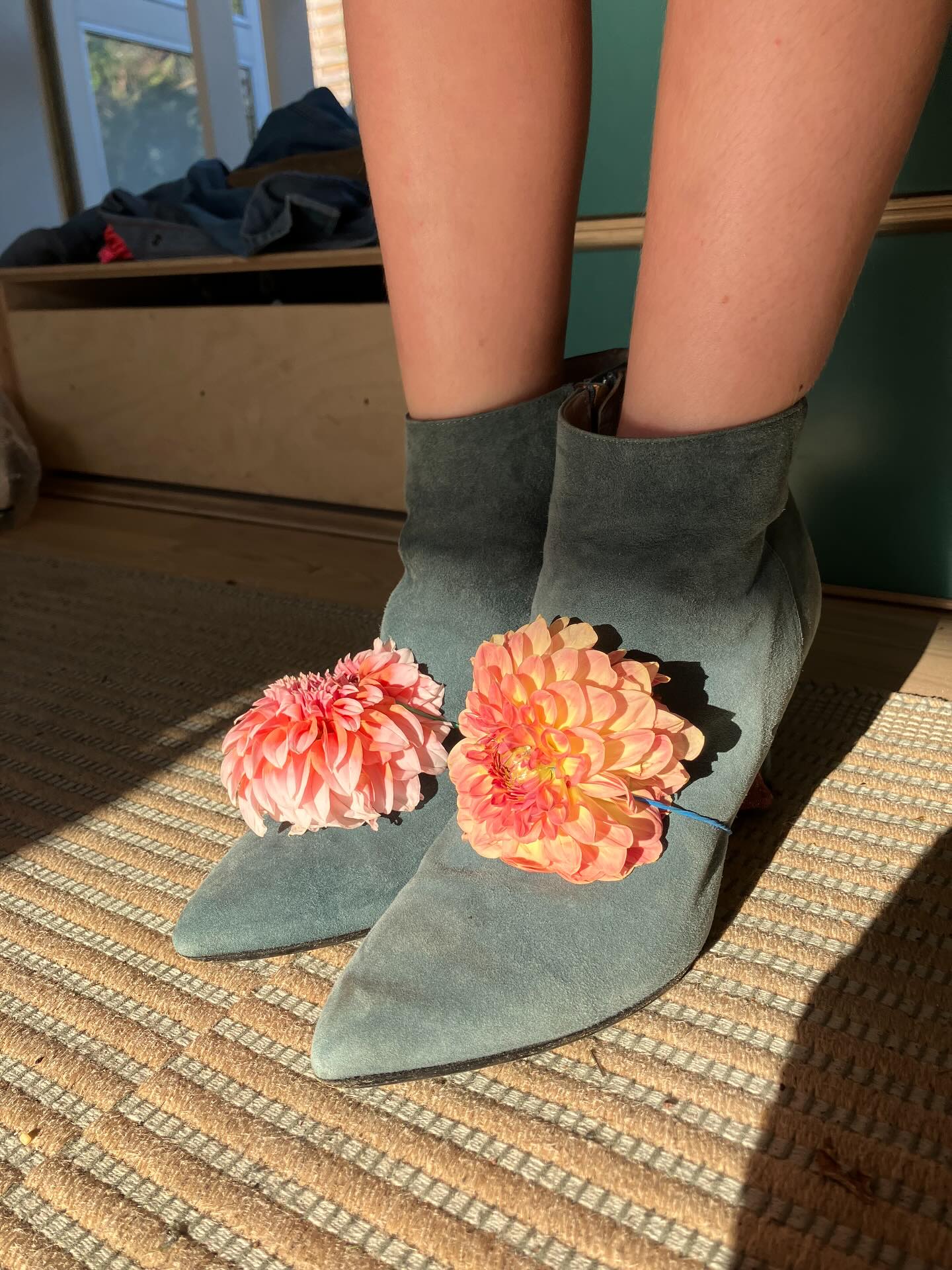 Sådan pimper man lige et par af sin mors bedste sko, med et par elastikker og nogle flotte dahlia’er 😂👌😎🍹 - godt fundet på af min datter på 6 år, der både er kvik i pynte-pæren og lynhurtig med saksen i blomstermarken 😬🫣🥳🌸
Ja, sådan ser (så) årets første dahlier’er altså ud, når de stakkels planter lige er kommet sig åbner vi rækkerne for pluk-selv, og I bestemmer selvfølgelig helt selv hvordan I vil bruge dem 💕🤙🌸
#deterjobareblomster #børnmedpåarbejde #momtreprenuer