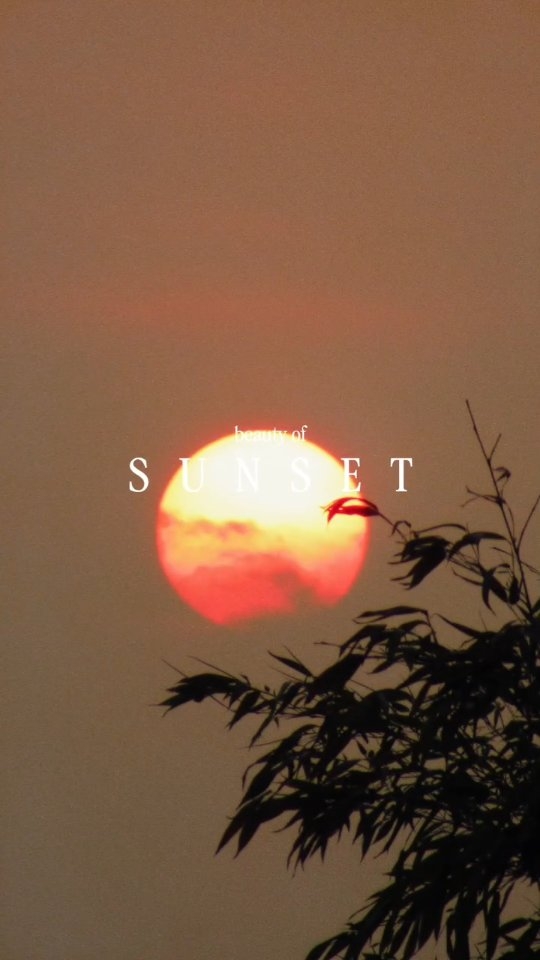 #skyteahouse
#sunset
#夕焼けの絶景
#sunsetlovers
#sunsetphotography
#sunsetsky