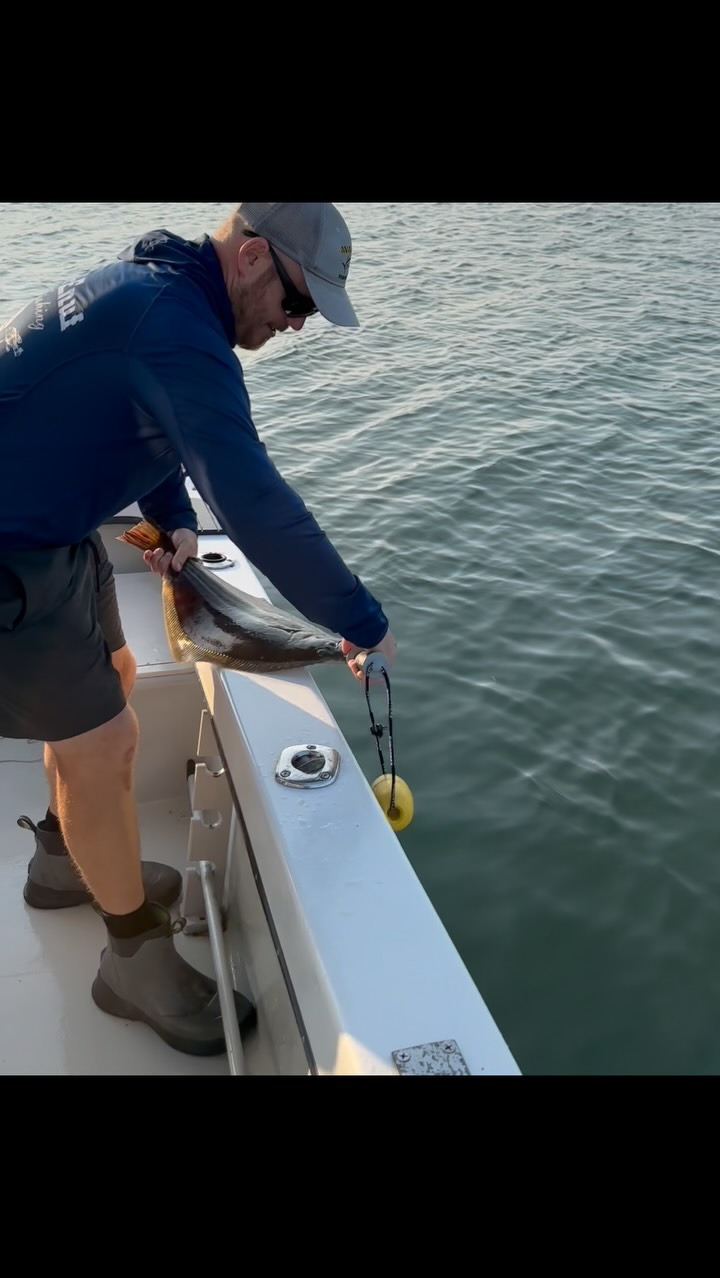 Just casually releasing back bay giants….