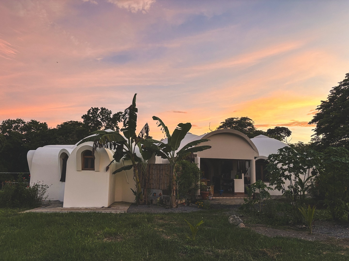 Coming to life. ✨🌴
A house just doesn’t feel quite like a home until the gardens start exploding with life and growth. Luckily, when you live in a rainforest, that happens pretty fast!
#nourishfarmpanama #domehomepanama #casadomopanama #aircretedome #domehome