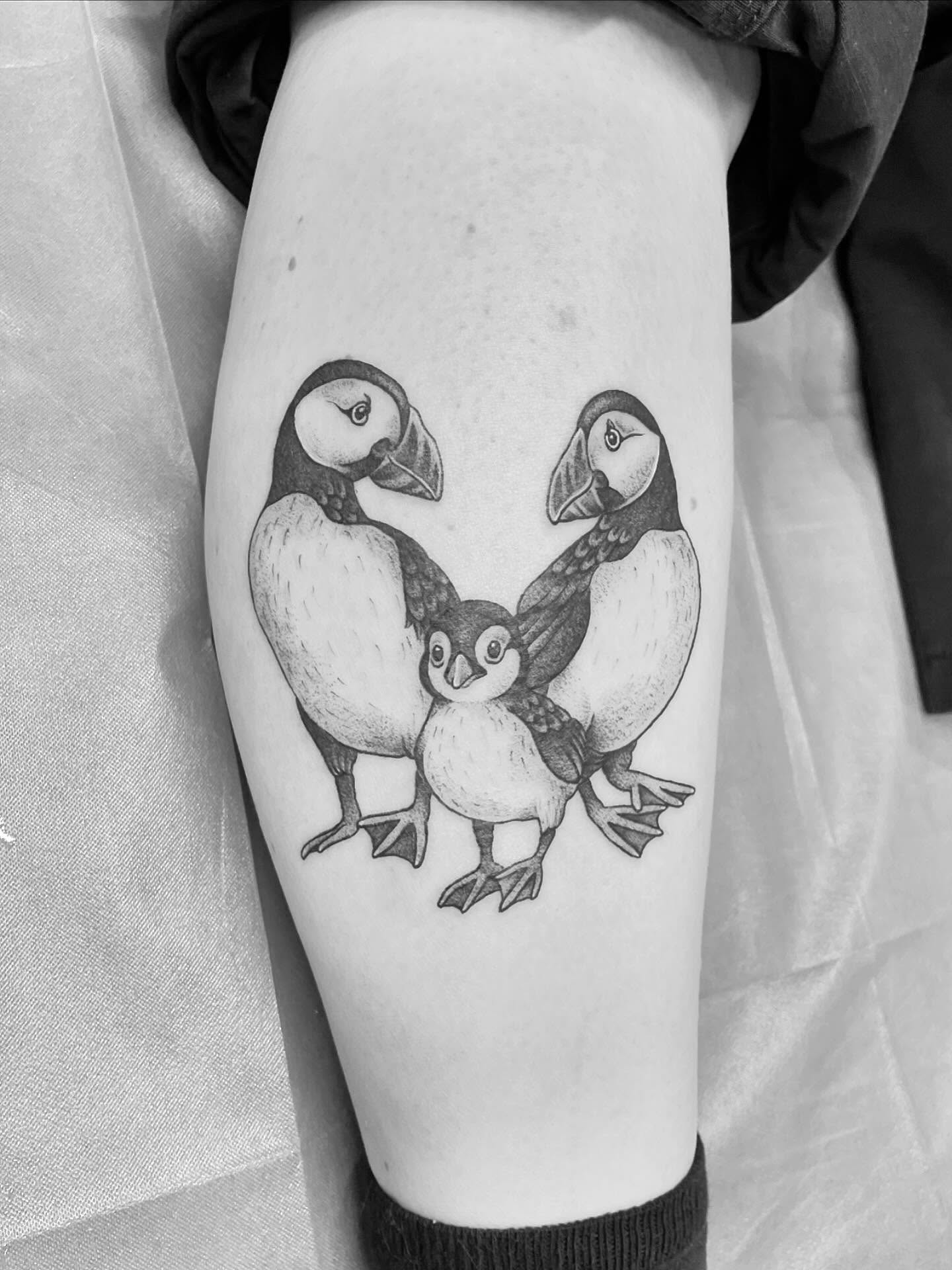 The cutest auklet which apparently is a family of puffins?? Adorable.
#ottawa #tattoo #ottawatattoo #blackwork #puffin #newfies