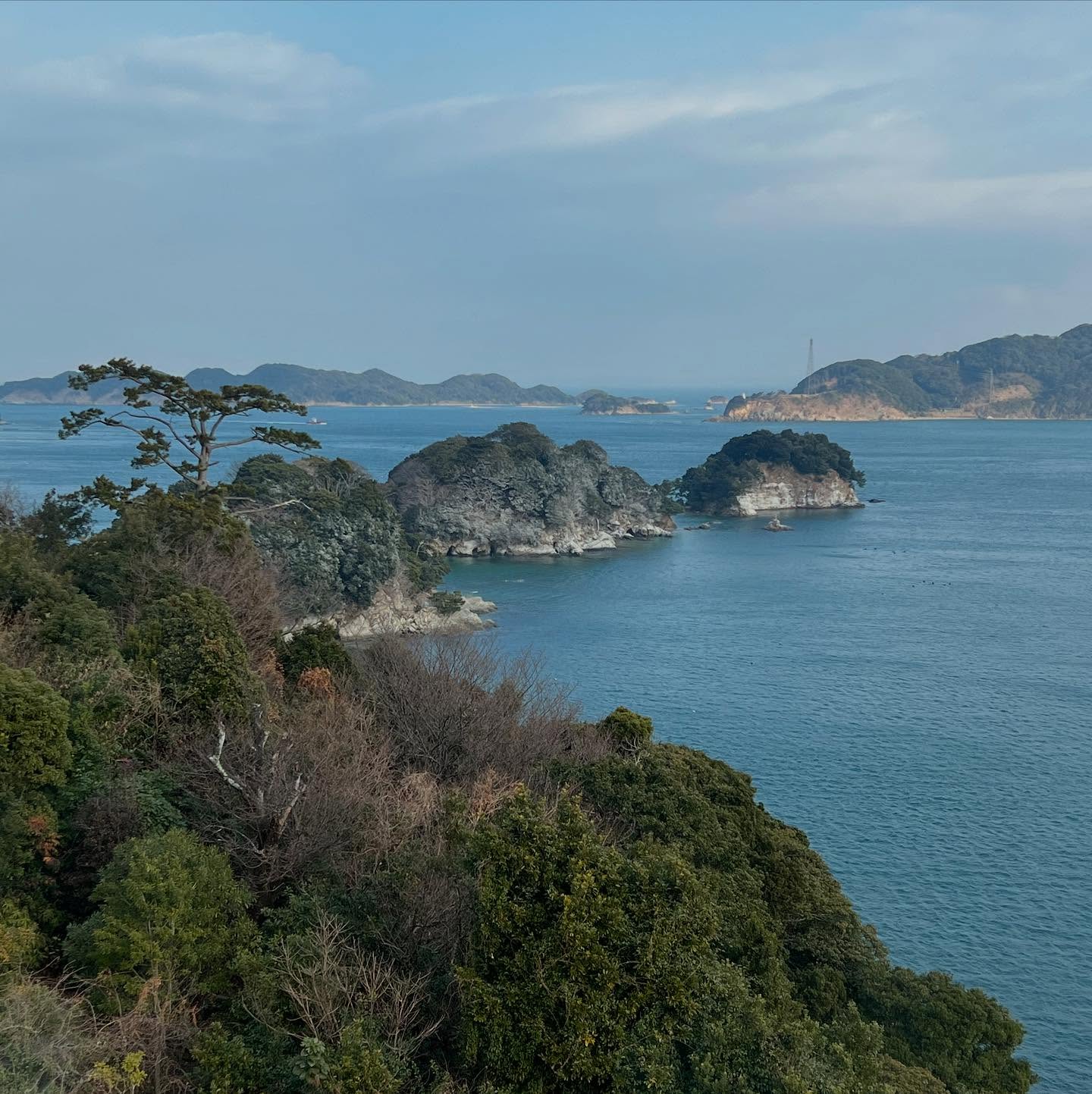 It’s probably 20 years since I last visited Japan. If you enjoy sushi and world class sashimi, the Ise-Shima region is a seafood lover’s heaven. West of futuristic Tokyo and south-east of historic Kyoto, Ise-Shima National Park juts into the Pacific Ocean and is renowned for its abundant flowering camellias.
#iseshima #iseshimanationalpark #travelwriter #japanesecamellia #japanesepilgrimage #japan2025🇯🇵❄️ #japan2025 #japantravelphoto