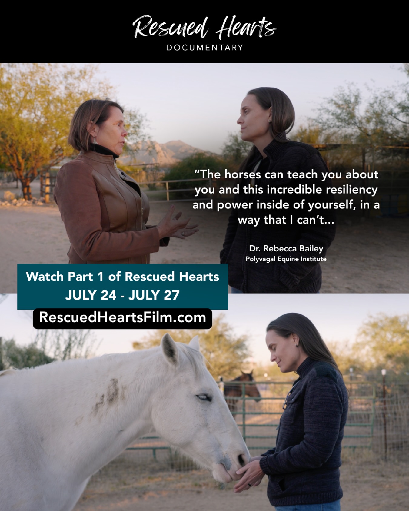 If you can even believe it, this moment happened during the very first day we began filming for Rescued Hearts.
What unfolded became one of the most powerful scenes in Part 1 of the film, and was a healing exchange that will stay with me forever 🐴💛😭
You can watch it until Sunday — tickets are available at RescuedHeartsFilm.com.
The two beautiful horses in this scene (only 1 is pictured in the photo) are a mother and daughter who were rescued from starvation and now live in safety with Linda Kohanov. They are loved by so many people!
We are beyond grateful to Linda for trusting us to film in her sacred space with her incredible horses and to Dr. Rebecca Bailey with the @polyvagalequineinstitute for gently guiding me through this tender and healing moment.
🫶 Dana, Producer
#RescuedHeartsFilm
#HealingWithHorses
#HorseHumanConnection
#HeartCenteredHealing
#HorseLove
#HorseHealing
#DocumentaryFilm
#RescueHorses