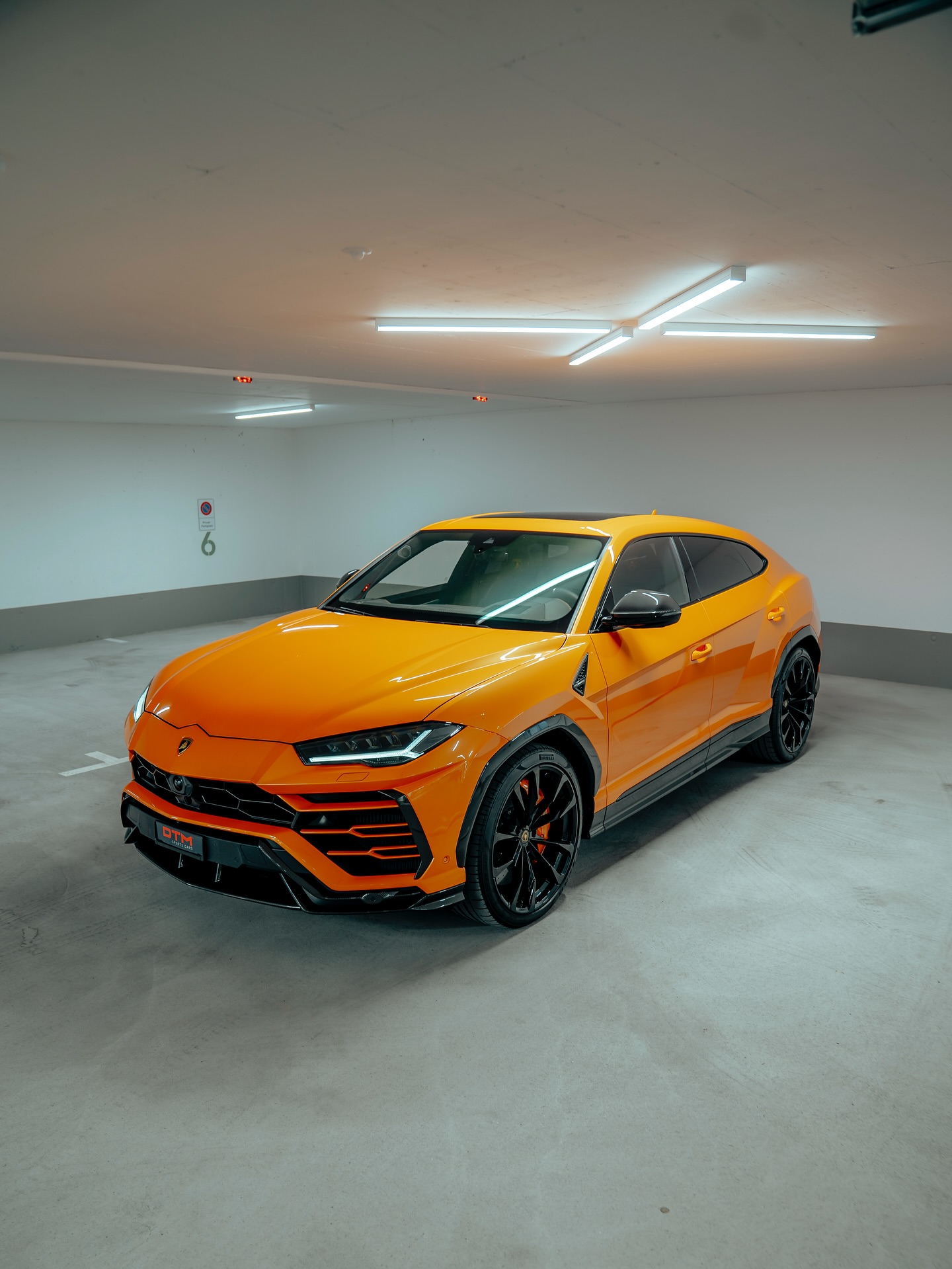 Arancio Borealis 🍊