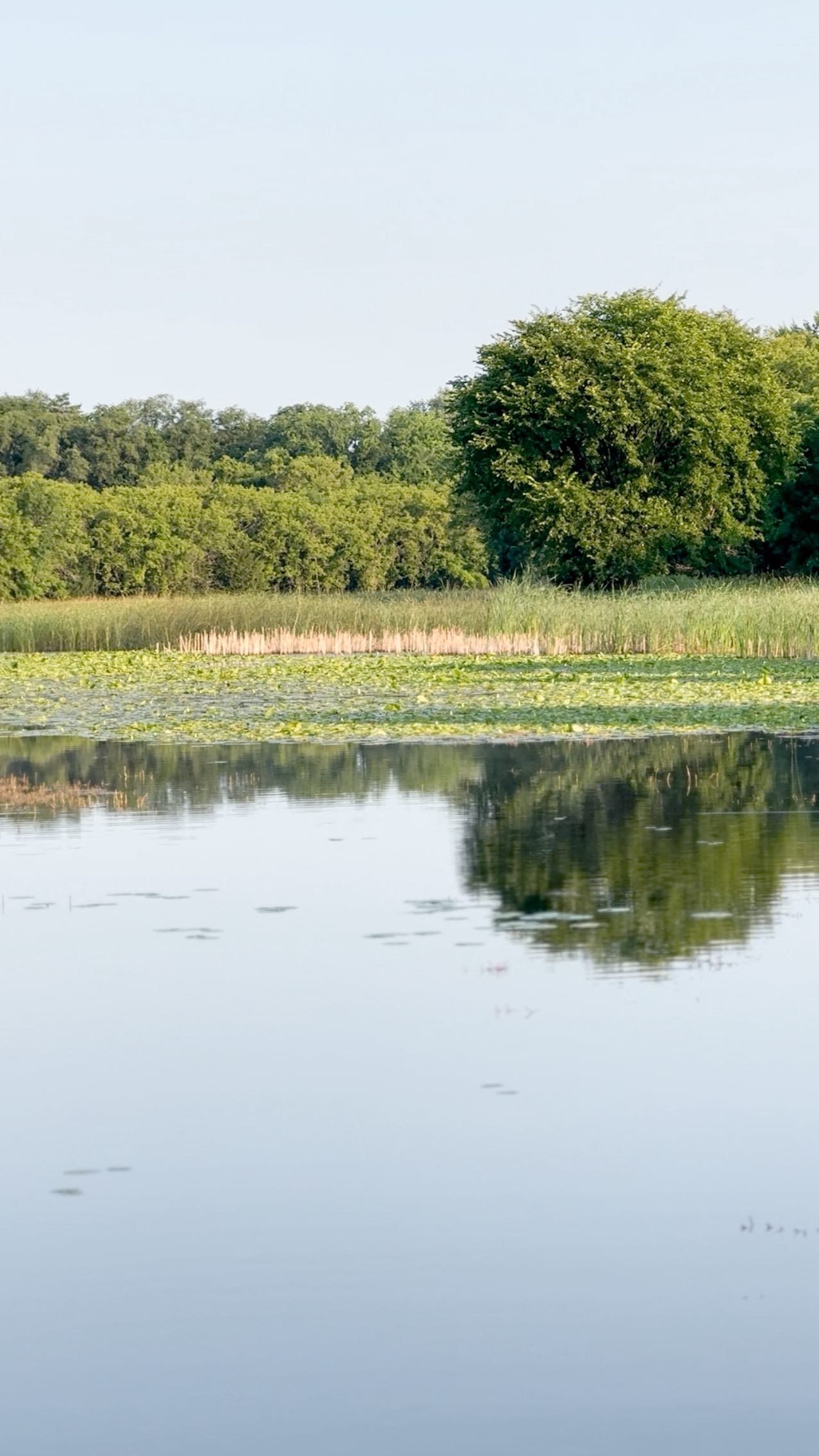 Carrying these moments from our weekend with friends heavy on my soul this week. The lush and vast scenery of Summers in Minnesota is a breeding ground for inspiration!