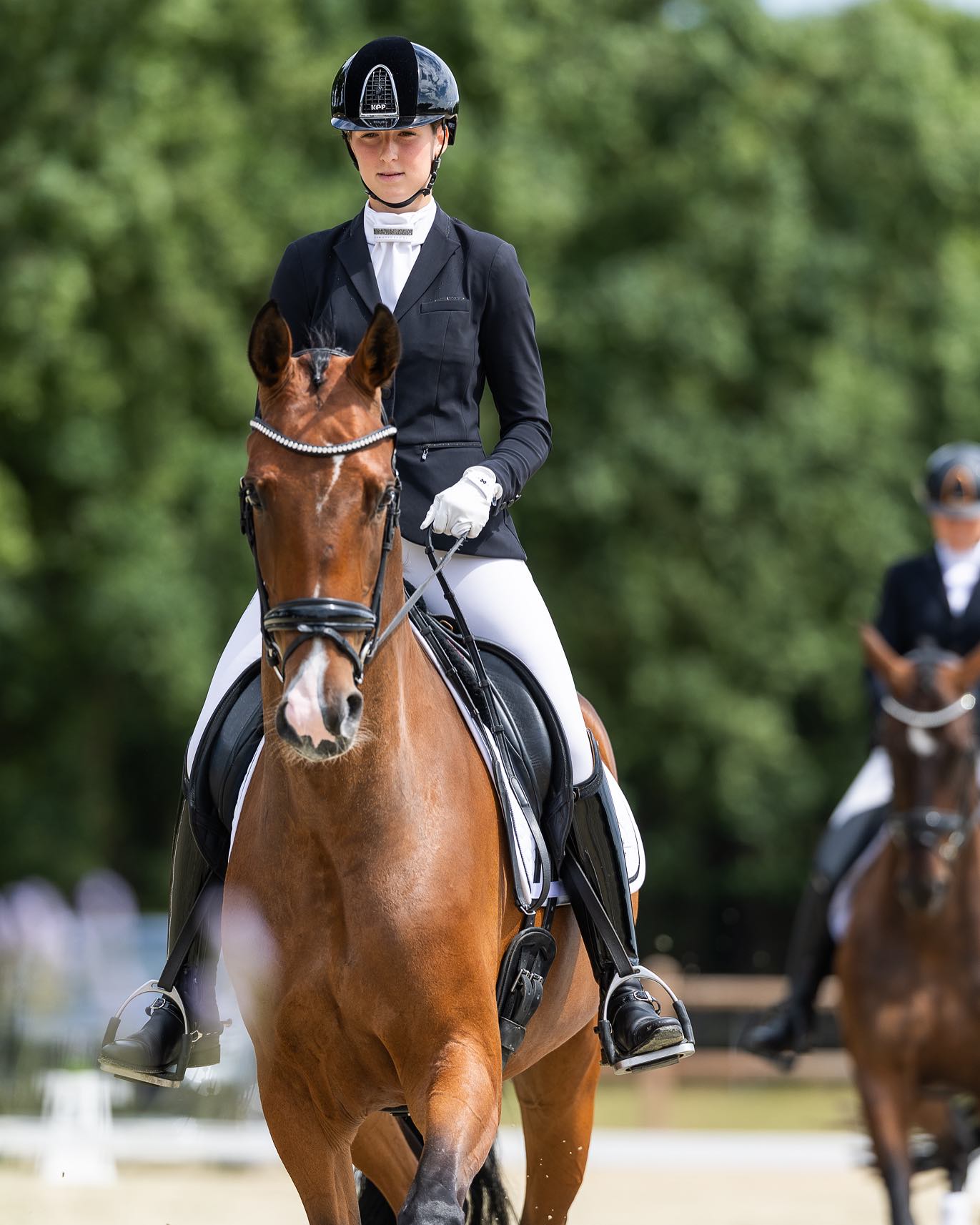 ✨Limburgse Kampioenschappen M2✨
Ons tweede seizoen samen… en wat was het een topseizoen!
Met je 5 jaar liep je erdoorheen alsof je dit al járen doet
We reden naar een mooie 2e plek én daarmee een ticket naar het NK! 🇳🇱
Zo trots op jou, Bo wat ben jij een bijzonder paard💗
Ook Royal mag mee naar het NK jonge paarden😇