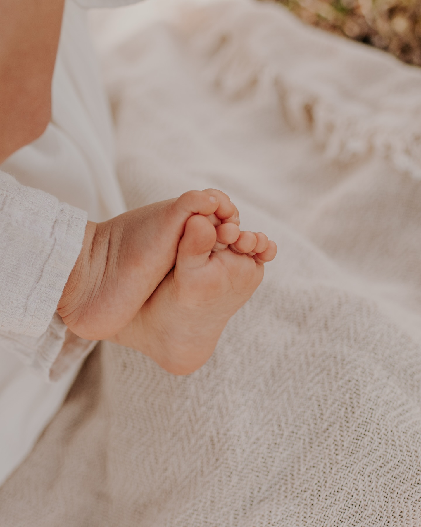 Kaum zu glauben, dass das schon wieder ein Jahr her ist...
Letzten Sommer stand ich mit den beiden noch beim Babybauchshooting in der Abendsonne – und jetzt? Jetzt Ist die kleine Maus schon ein Jahr alt und entdeckt die Welt!
Ich freue mich riesig, dass ich sie wieder fotografieren durfte. Das schönste - Die beiden möchten ab jetzt jedes Jahr ein Shooting machen, um ihre Familienmomente festzuhalten. Wie schön ist das bitte?! 🥹
Solche Wiedersehen sind für mich das Allerschönste. Familien wachsen, Kinder werden groß – und ich darf all das in Bildern begleiten.
Das ist so viel mehr als nur ein Fotoshooting – es ist ein Stück gemeinsame Geschichte. 📸✨
#familienshootingjena #familienfotografiejena #babyist1 #sommerfotoshooting #familienmomente #natürlichefamilienfotos #familienzeitfesthalten #emotionalephotography #blickwinkelfotografie #mamaundbaby #familienfotosdraußen #zeitreiseinbildern #thüringenfotografie #mamaundpapa #mamaerinnerungen #wachsendefamilie #kleinesglück #familienglück #elternliebe #sommerlicht #jenaerfotografin #babyfotografie #familienreportage #fotoliebe #momentezumfesthalten