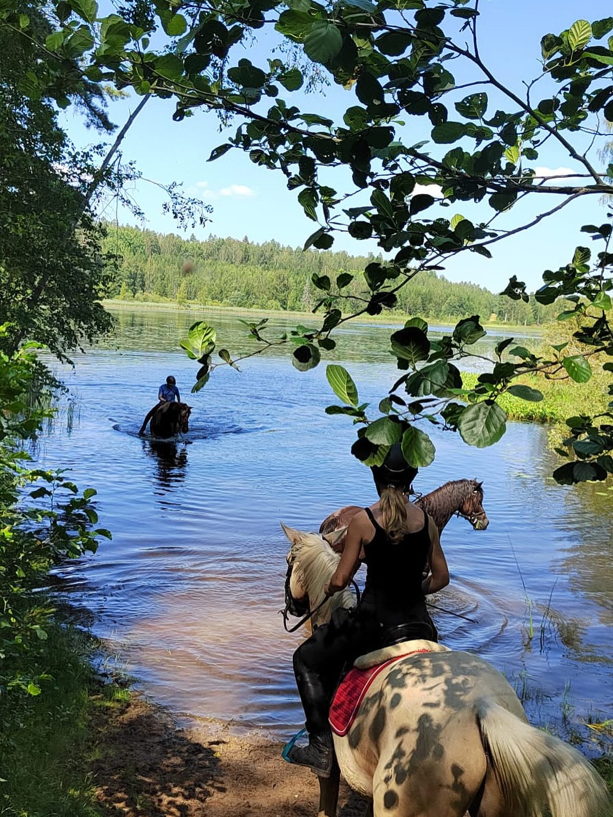 Kesän parhaat päivät kannattaa käyttää näin 😍
📷Mia Kurvinen