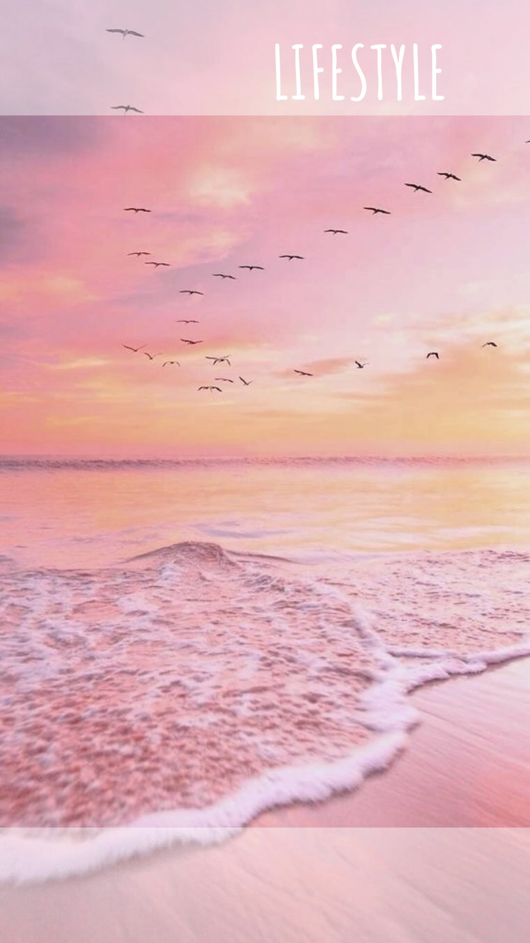 🏖️ Je dois vous le dire…
Arrivée fin juin j’étais très fatiguée….(et je le suis toujours d’ailleurs 🤪)
J’avais un grand besoin de ralentir notamment par ici. Instagram prend beaucoup de temps et sans se rendre compte, grignote petit à petit ton énergie positive. Parfois il faut juste tout poser et se laisser le temps. La vérité? C’était beaucoup trop court 🤪.
J’ai retrouvé ce qui m’apaise et me nourrit : la nature, l’océan, le vent, la lumière dorée, la chaleur du soleil sur la peau….et ceux que j’aime.
La sensation d’être vraiment là.
Et toi comme t tu te recharges cet été? Dis moi en commentaire! 🤗
#creatricebijoux#artisanebijoutiere#bijouxfaitsmain#femmeactive#paumaville64#paillettesdansmavie#mamanepanouie#chargementaledesfemmes#jaimelavie#etresoimeme#cadeaumariage#petitsbonheurs#40ans#confianceensoi#maternité#moderesponsable