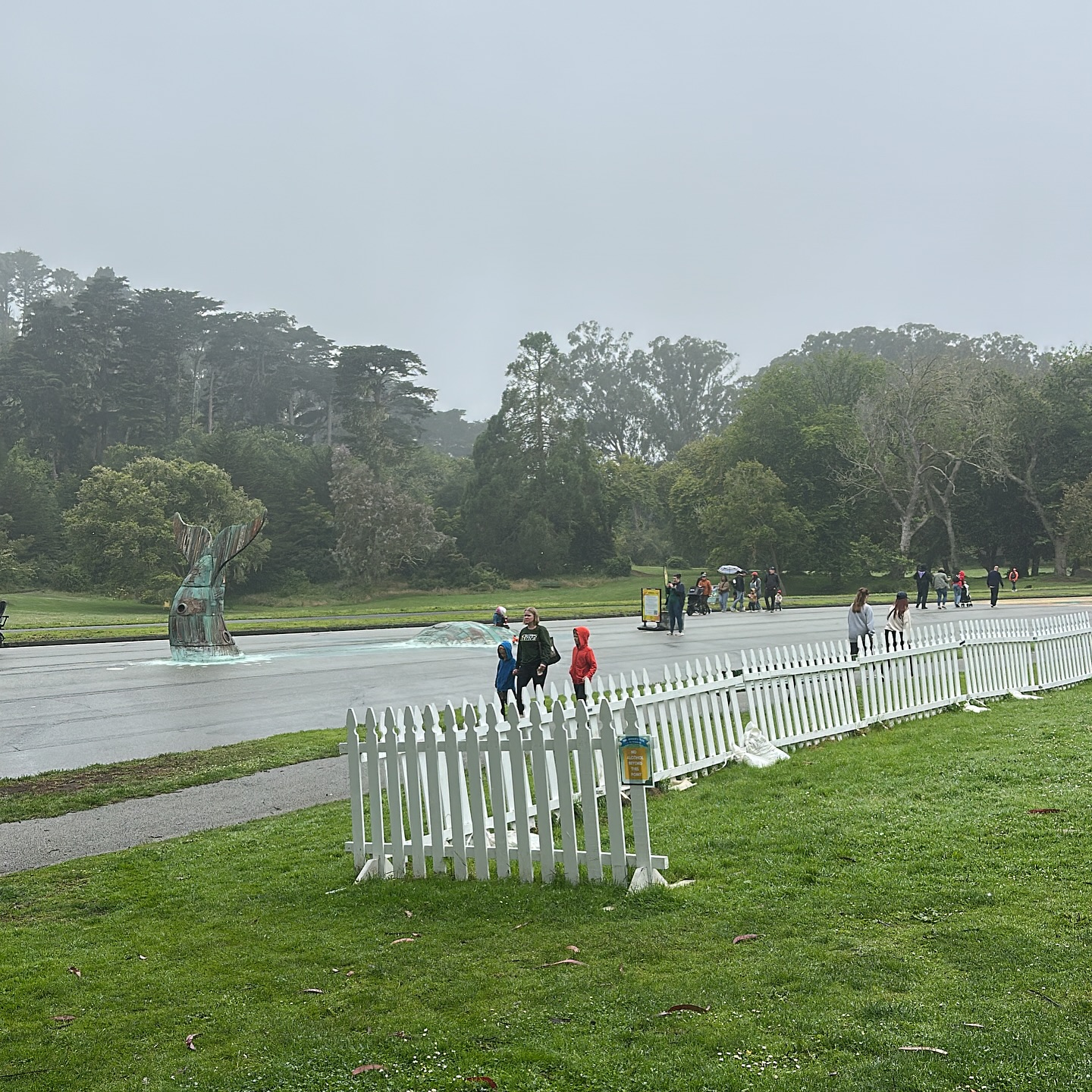 We are CANCELING today’s class due to wet weather! See you next SUNDAY 8/3 for our mid season celebration.