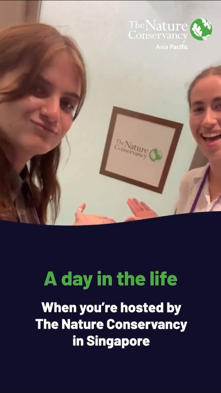 Watch a day in the life of two Baucus Climate Scholars! Alena and Natalie are working with The Nature Conservancy Asia Pacific to explore how climate change is experienced and addressed in Singapore.
