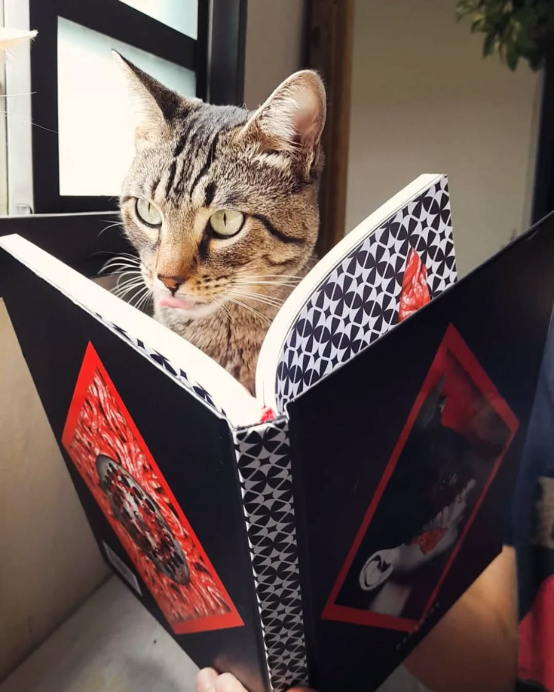 Ele na maior vibe "é saboroso mesmo" 😋