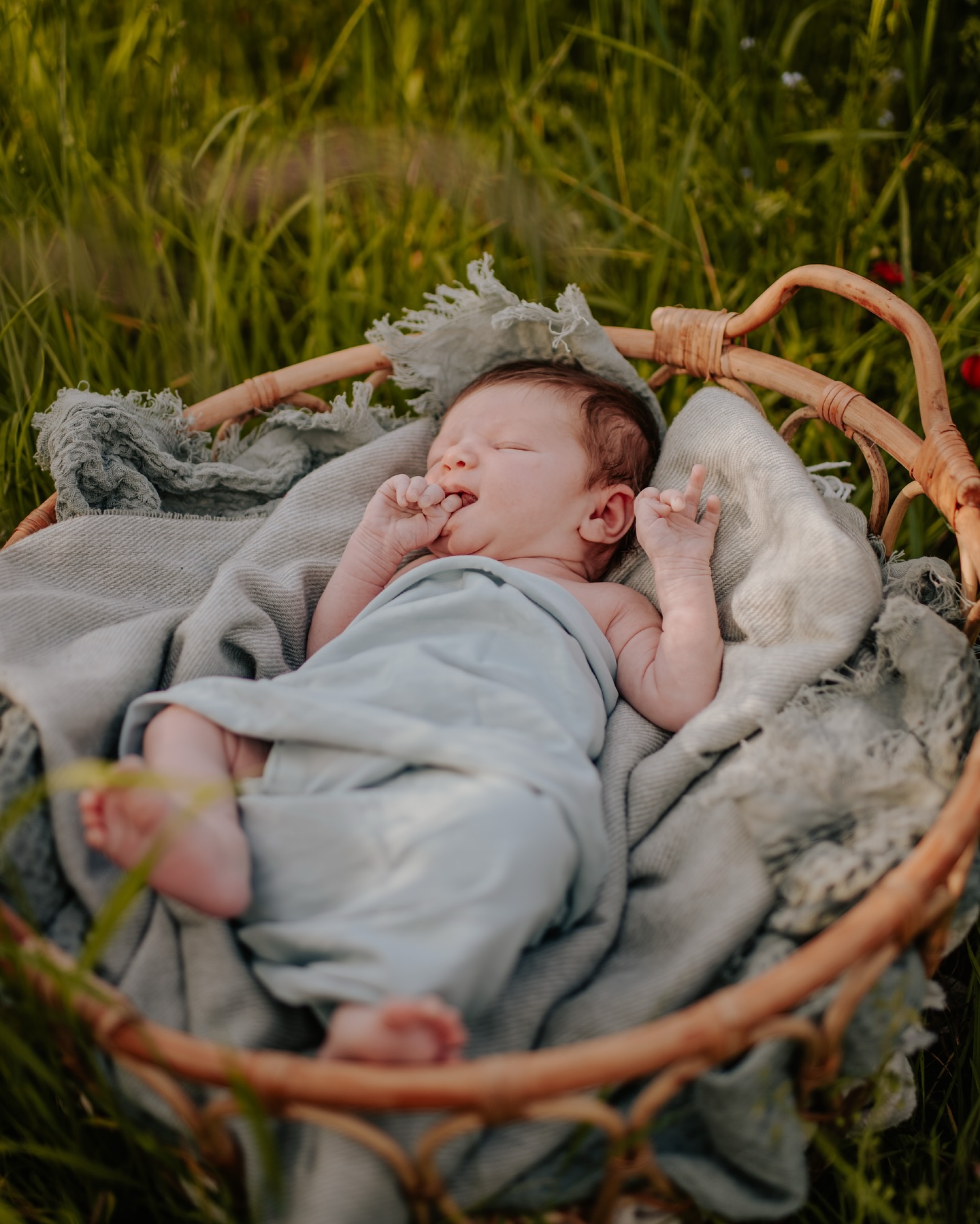 Babyfüße zwischen Mohnblumen
Dieses Babyshooting war etwas ganz besonders für mich, denn ich durfte die kleine Maus draußen zwischen Mohnblumen fotografieren, mitten in der Natur. Und ich liiiebe diese zarte Kombi einfach, die kleinen Babyfüße mitten zwischen dünnen Gräsern und Blüten.
Mein Tipp für euch: Ein Outdoor-Babyshooting im Sommer bietet nicht nur wunderschönes, warmes Licht und natürliche Farben – die Kleinen fühlen sich meist wohl in der frischen Luft und lassen sich viel leichter auf die Umgebung ein. Außerdem sind Wiesen, Felder und blühende Natur einfach die schönste Kulisse für zeitlose Erinnerungen.
Wenn ihr euch ein Shooting mit eurem kleinen Wunder in der Natur wünscht, schreibt mir gern. Ich freue mich darauf, eure ganz persönlichen Herzensmomente festzuhalten. 🌼
#babyshooting #outdoorbabyshooting #babyimblumenfeld #sommerbaby #natürlichebabyfotos #babyfotografie #familienfotografin #mamaundbaby #emotionalephotography #babyzauber #magischemomente #fotosdieberühren #momentezumfesthalten #frühling2025 #babyfotografiedeutschland #babyshootingdraußen #sommermomente #familienerinnerungen #outdoorfotoshooting #blickwinkelfotografie #babyglück