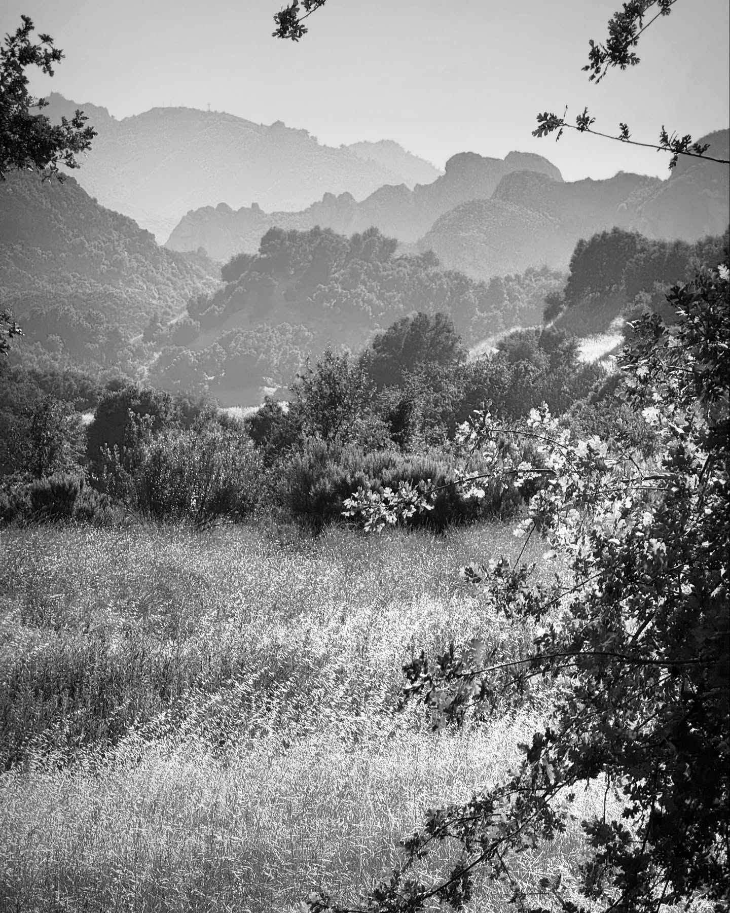 Distant atmosphere
#blackandwhite