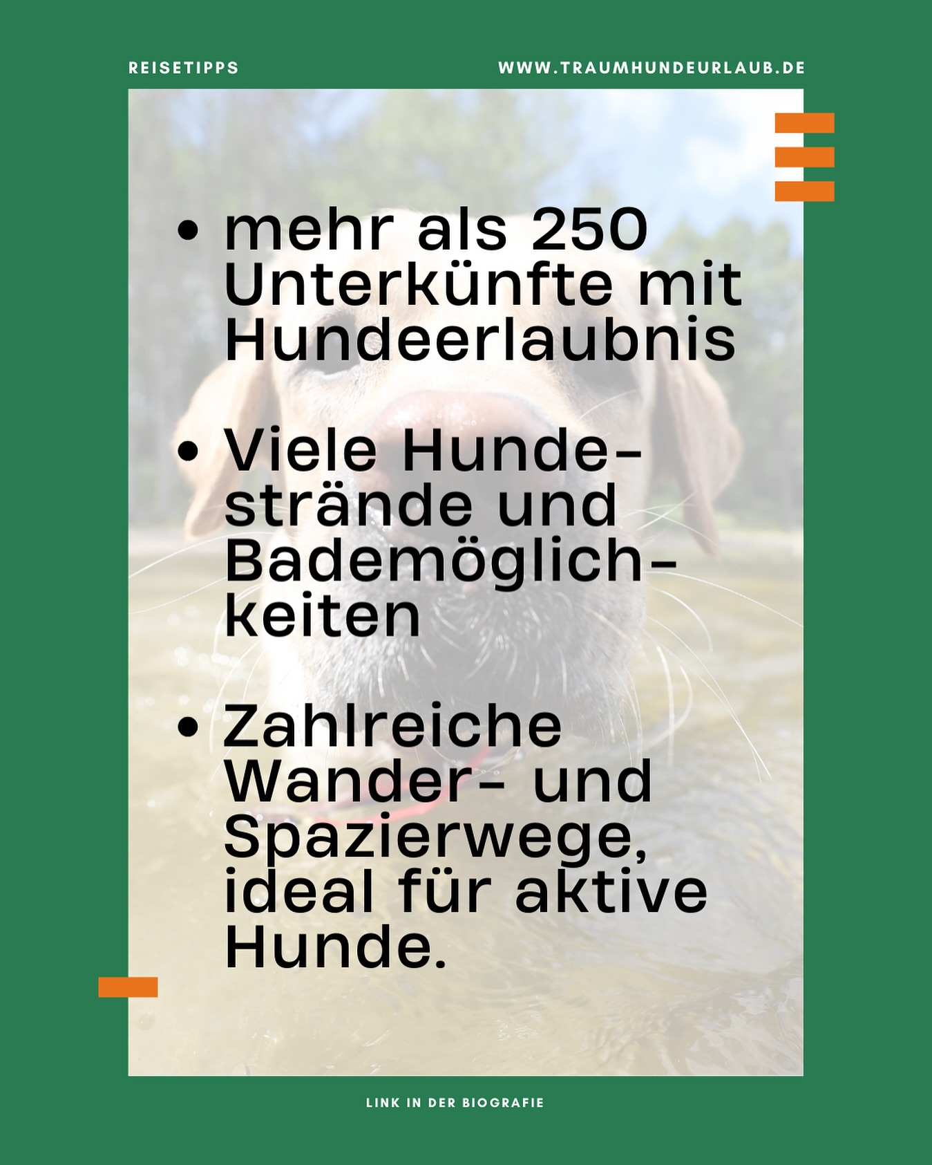 Bei uns findet ihr die passende Unterkunft für euren Traumhundeurlaub am Bodensee 💯🐶🌊
Jetzt mehr erfahren in unserem Blogbeitrag zum Bodensee.
Link in der Bio 😍
Wir wünschen frohes Stöbern! 😉
Jetzt buchen: www.traumhundeurlaub.de
#traumhundeurlaub #traumhundeurlaub.de
#UrlaubMitHund #BodenseeMitHund #HundefreundlichReisen #ReisenMitHund #Hundeurlaub #BodenseeLiebe #WandernMitHund #FellnasenOnTour #DogTravel #hundeglück