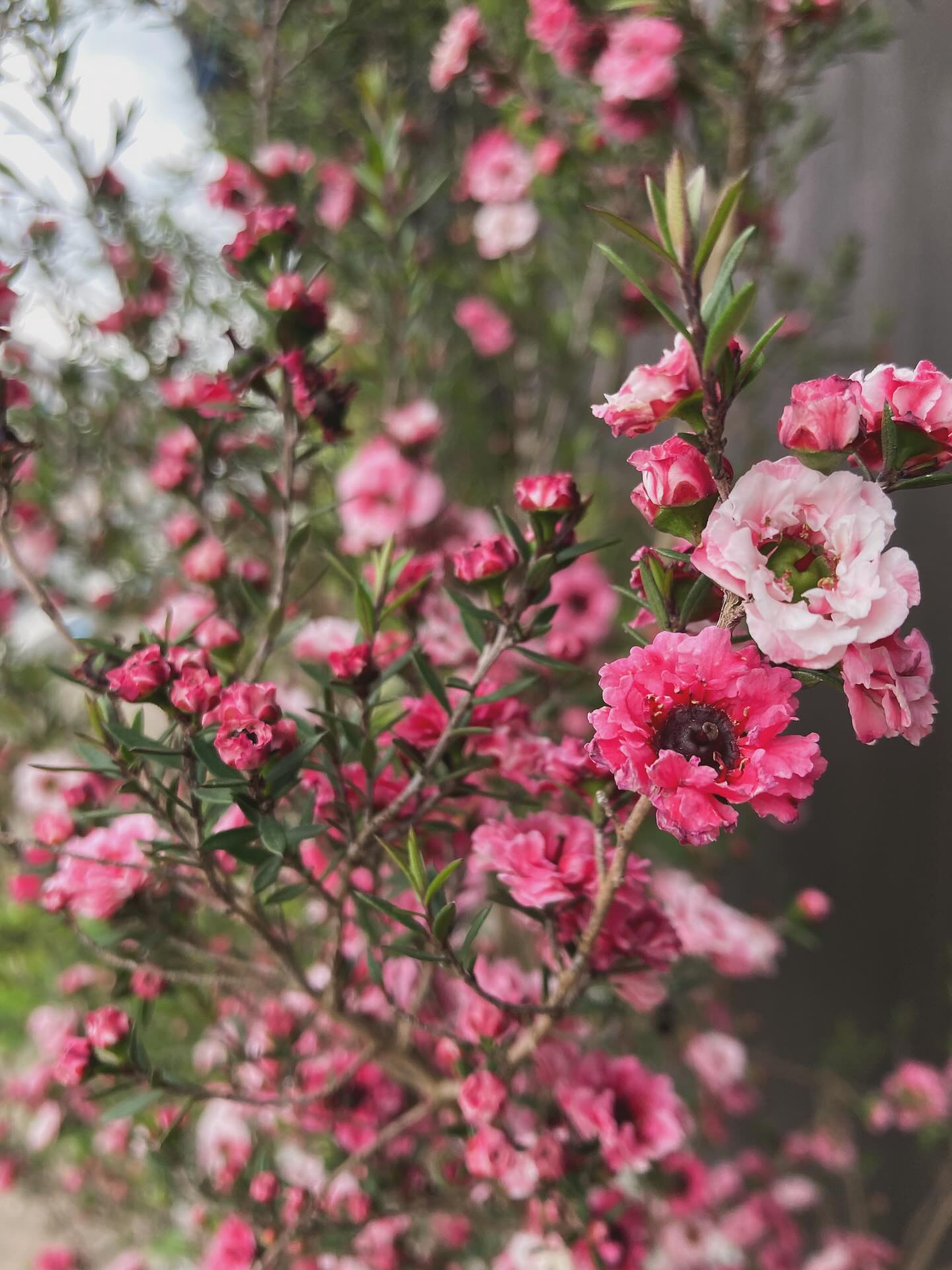 本日の営業は17:00〜となります。
よろしくお願いします。