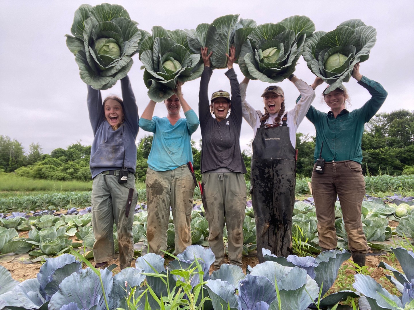 The harvest list is growing! Check out the latest Farm Newsletter. Link in BIO.
High Summer is here and we're bursting with excellent fresh veggies.