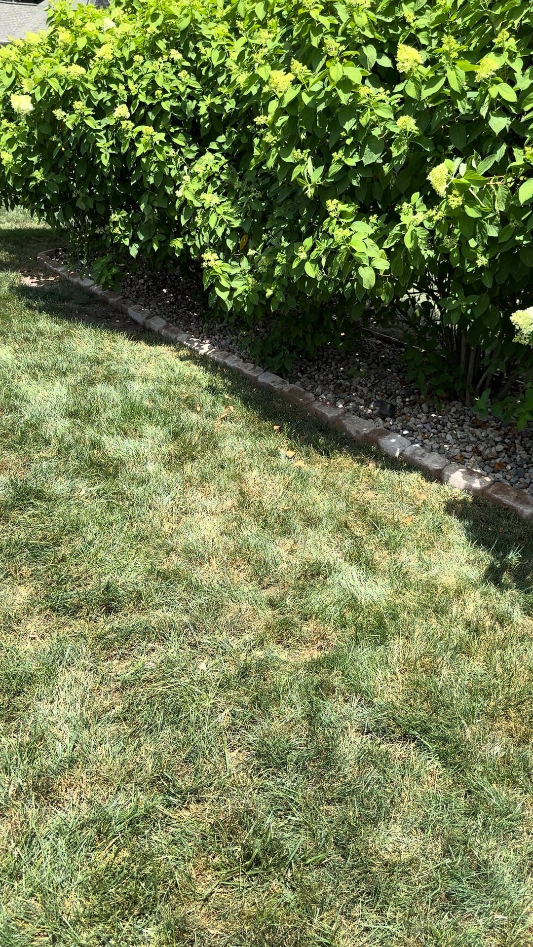 A finished project from a few weeks ago. Stone edging!