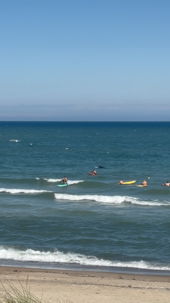 The summer is here and we are vibing with it, the waves are back from Wednesday 🙏😍🏄