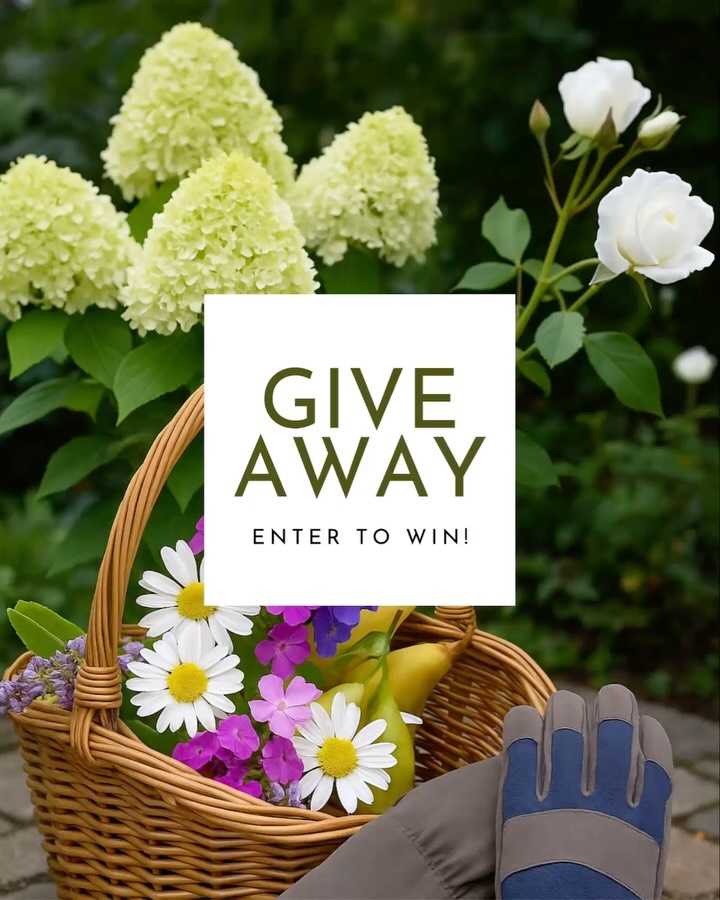 🚨 CLOSED 🚨 WINNERS WILL BE ANNOUNCED SOON
We’ve teamed up with our friends at YouGarden to celebrate the launch of Inspired Gardener with our first ever giveaway and we’re picking ✨10 lucky winners✨
One winner will receive our Cottage Garden Prize Bundle with a total value of over £140 including:
🌿 Hydrangea paniculata ‘Limelight’ worth £19.99
🌸 Climbing Rose ‘Iceberg’ worth £29.99
🧺 Handcrafted wicker basket worth £40
🧤 Thorn resistant gardening gloves worth £20
🌼 One year Inspired Gardener Membership worth £33.98
🎁Nine more winners will each receive a YouGarden Club Membership worth £33.98 which includes
• £20 in product vouchers
• Two free delivery codes
• Exclusive savings and seasonal perks
Total prize value across all 10 winners is over £440!!
To enter:
1. Follow @inspiredgardeneruk and @yougardenuk
2. Like this post
3.Tag a garden loving friend in the comments
- Each tag counts as one entry so go wild 🙌🏻
🌟 Bonus Entry: Share this post to your Stories for an extra chance to win (make sure to mention us when you share)
UK only | Ends 5 August | T&Cs link in bio
This giveaway is in no way sponsored, endorsed, or administered by, or associated with Instagram
#giveawayuk #cottagegarden #hydrangea #climbingrose #gardening