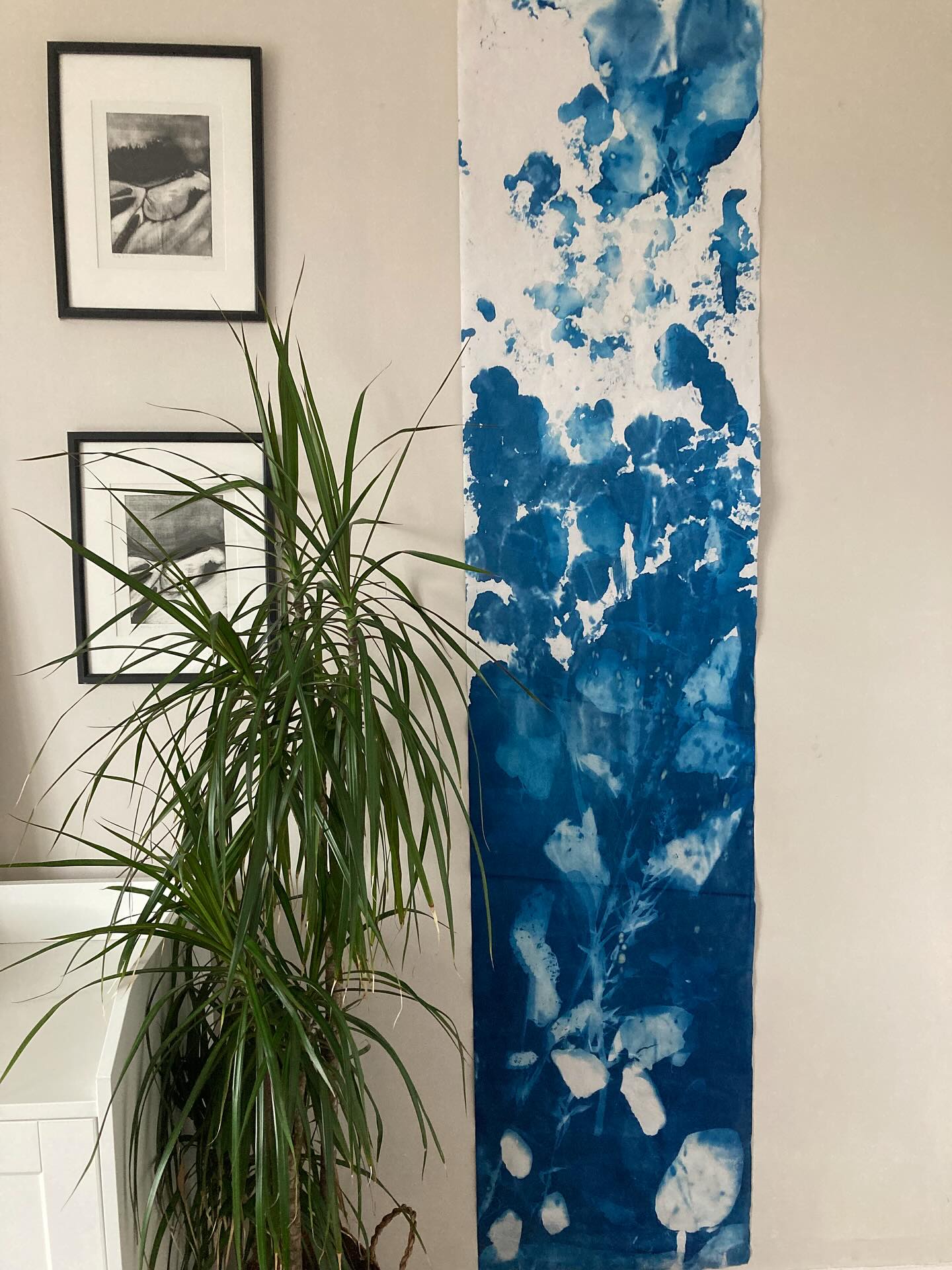 2m cyanotype by the torrent de Bossons. Glacial debris and vegetation. Some interesting details. I was hoping to find at least 2m of snow somewhere accessible, but that’s for another day.#chamonix#cyanotype#drawingwithlight